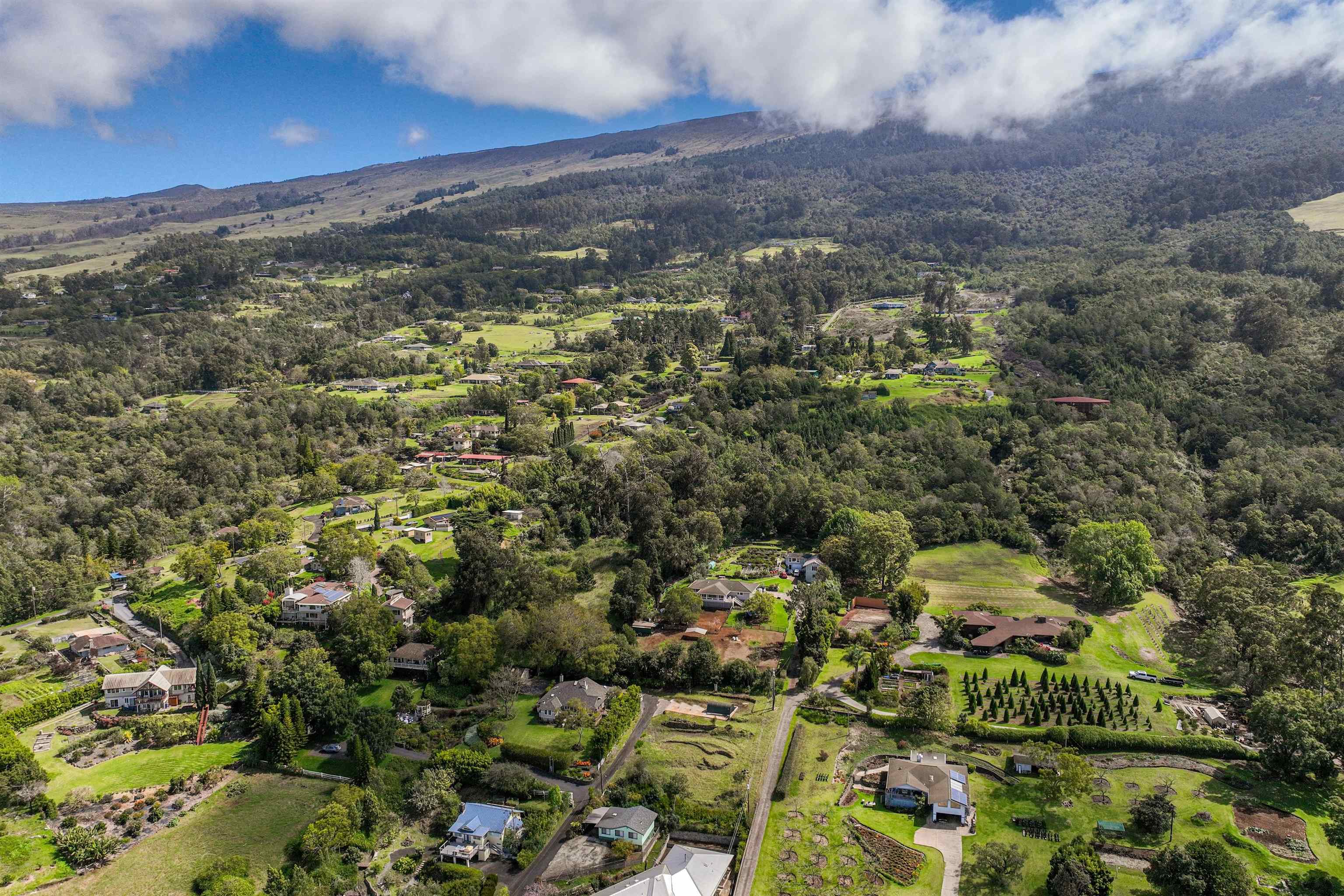 790 Kekaulike Ave