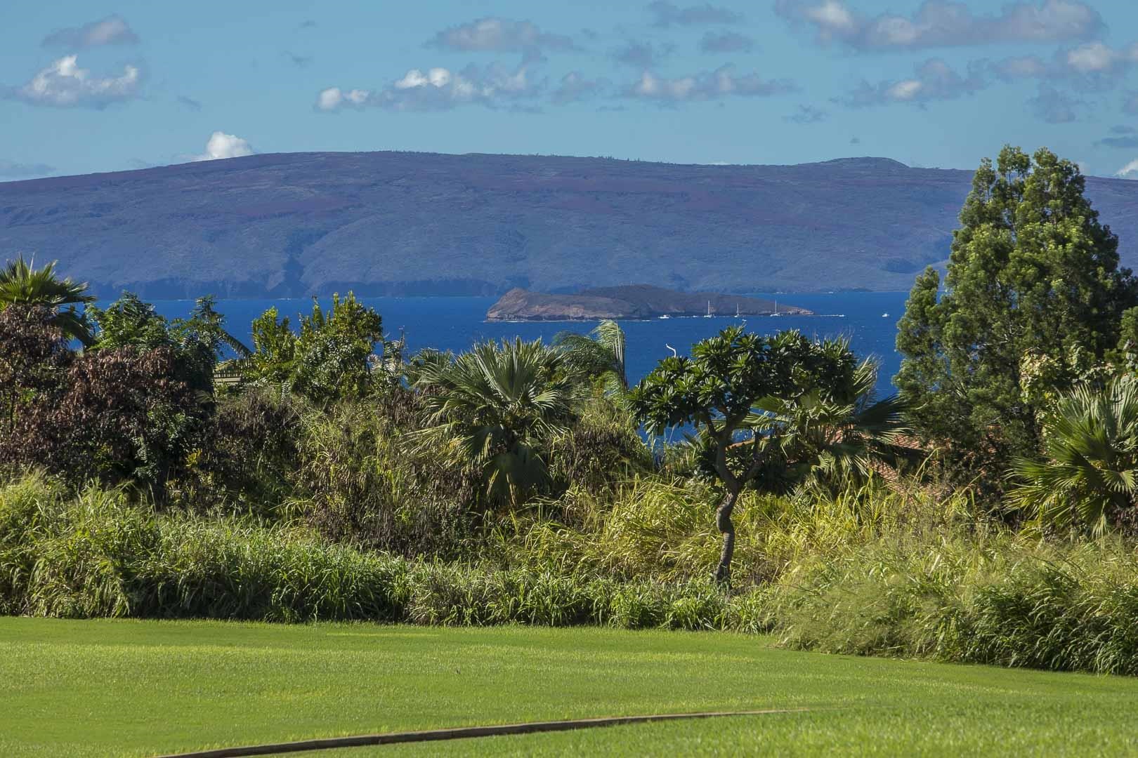 10 WAILEA EKOLU Pl Unit: 1507