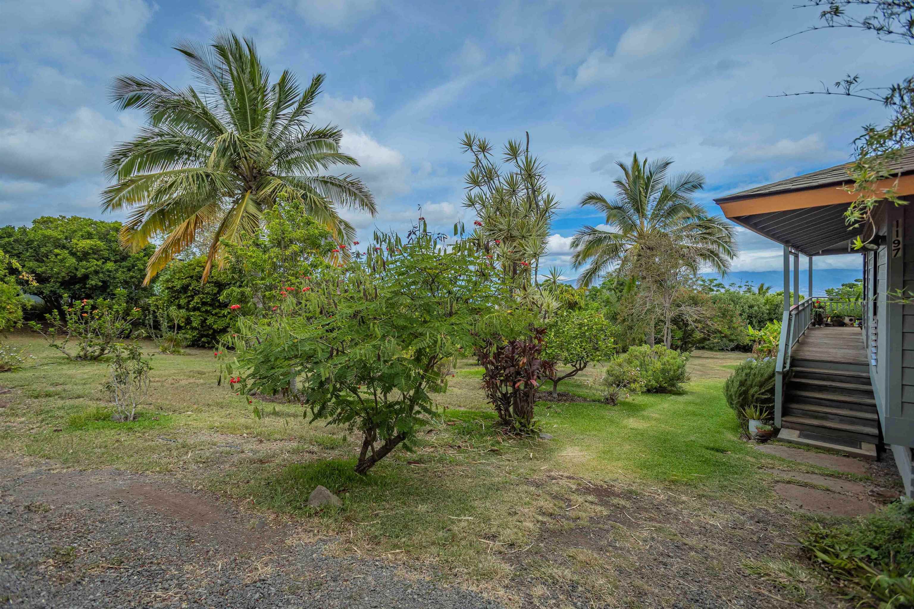 1195 Omaopio Rd Unit: Unit B