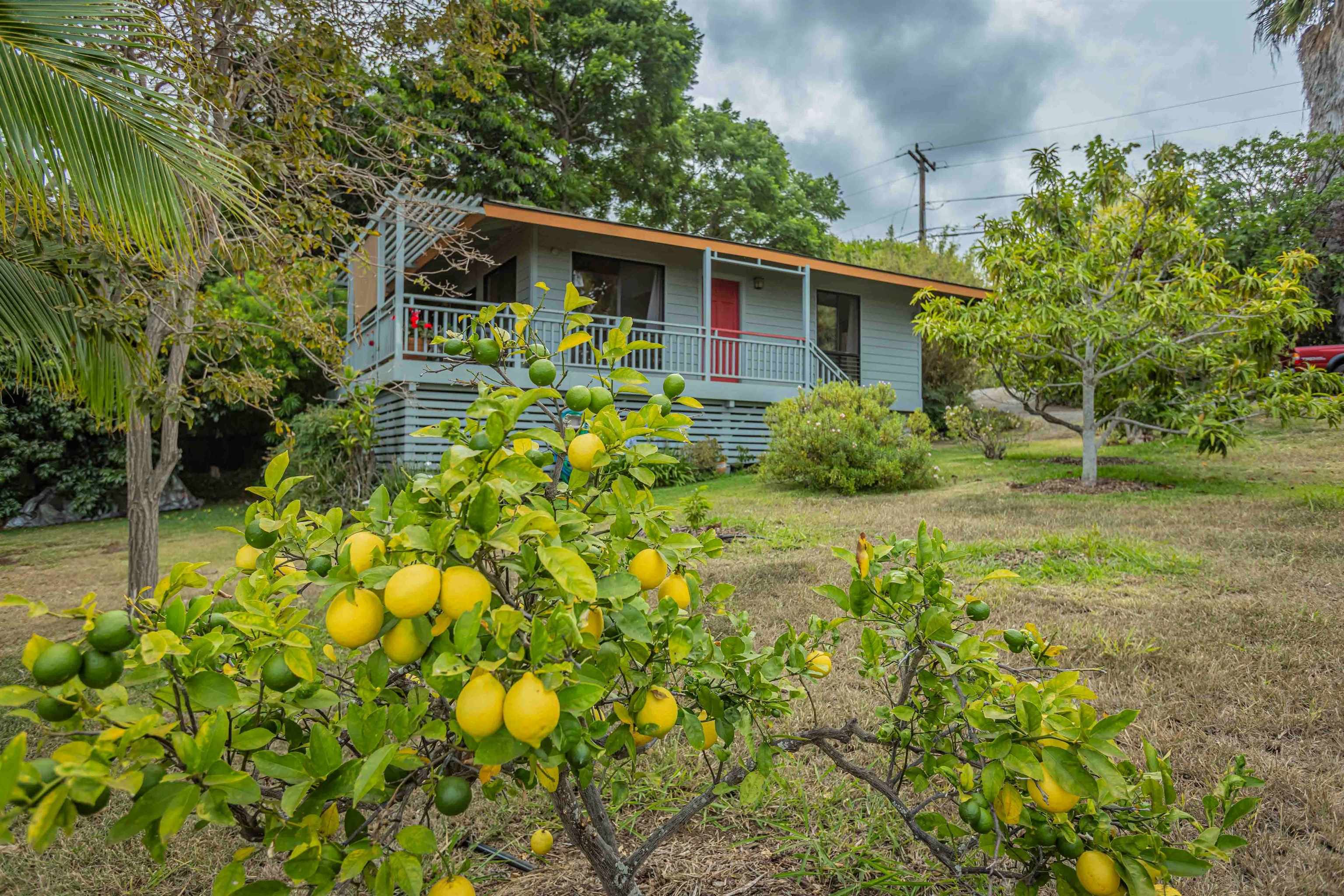 1195 Omaopio Rd Unit: Unit B