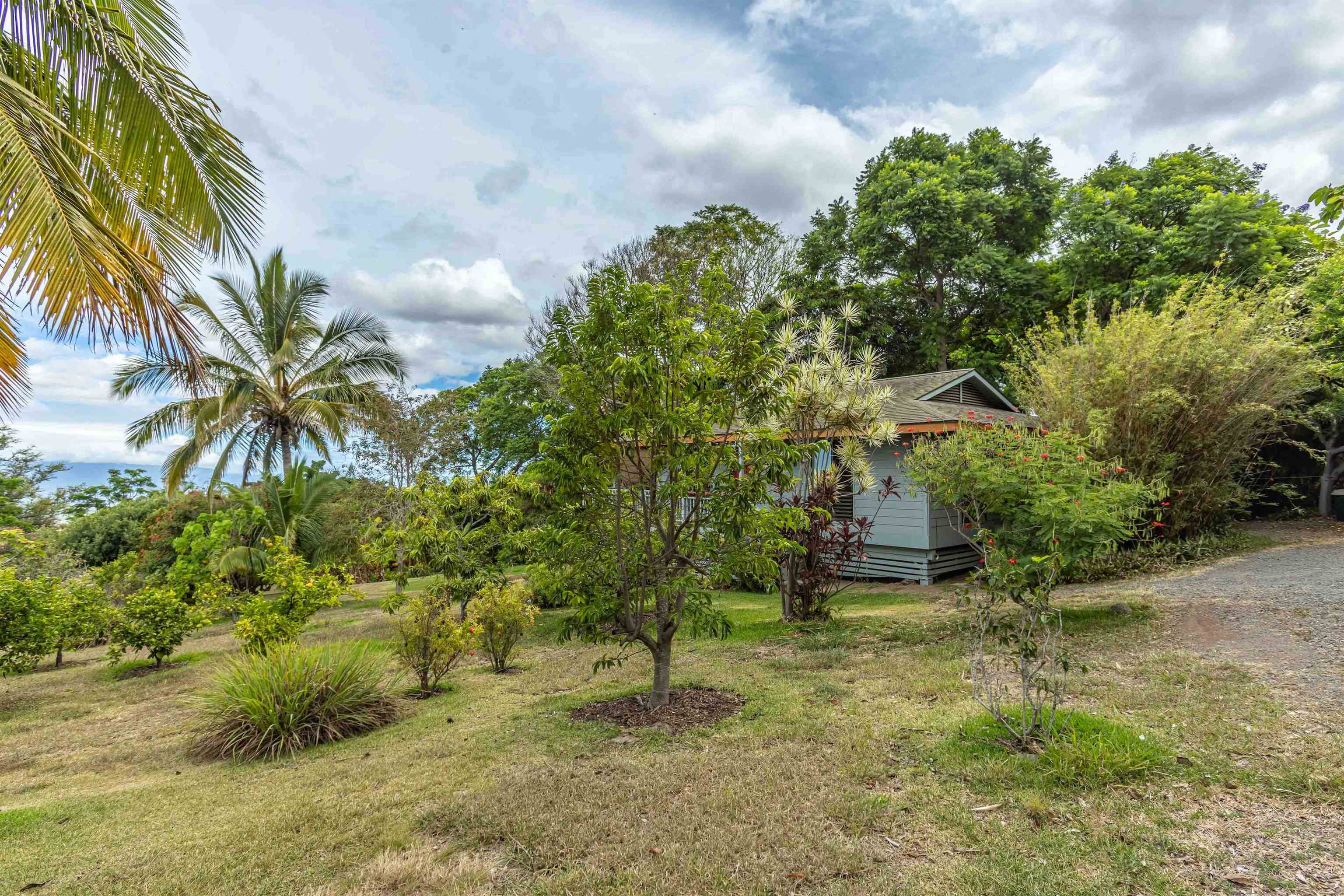 1195 Omaopio Rd Unit: Unit B