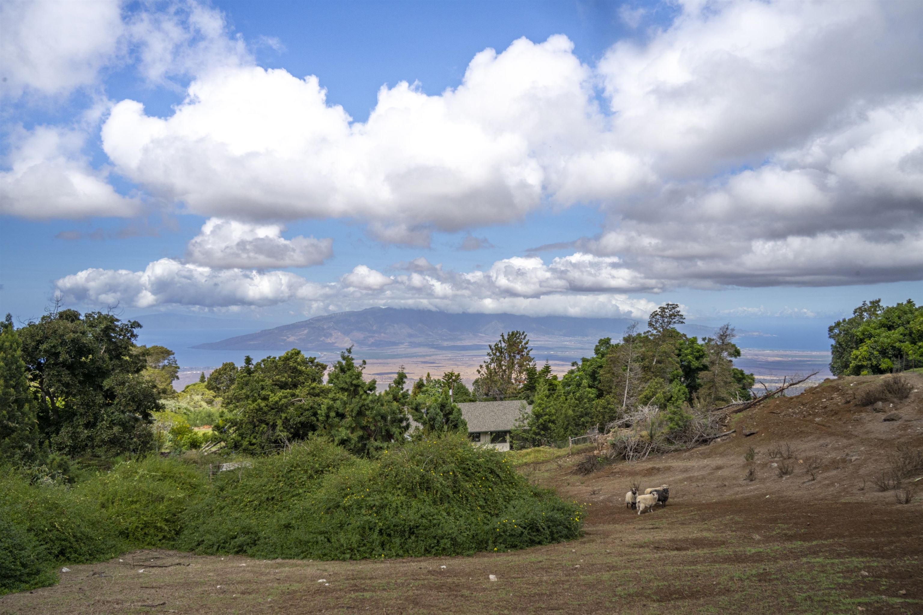 850 Kekaulike Ave Unit: Unit B