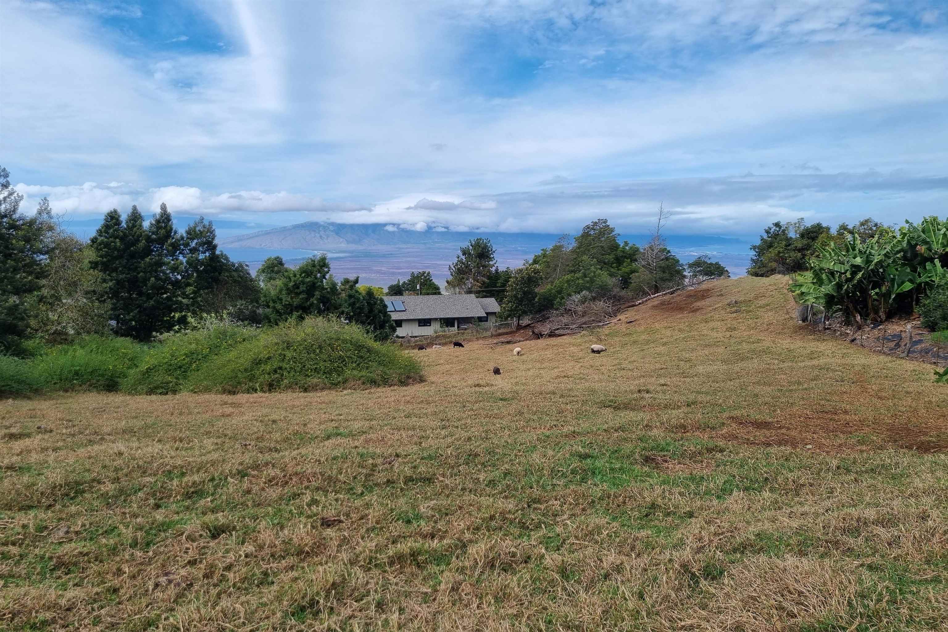 850 Kekaulike Ave Unit: Unit B