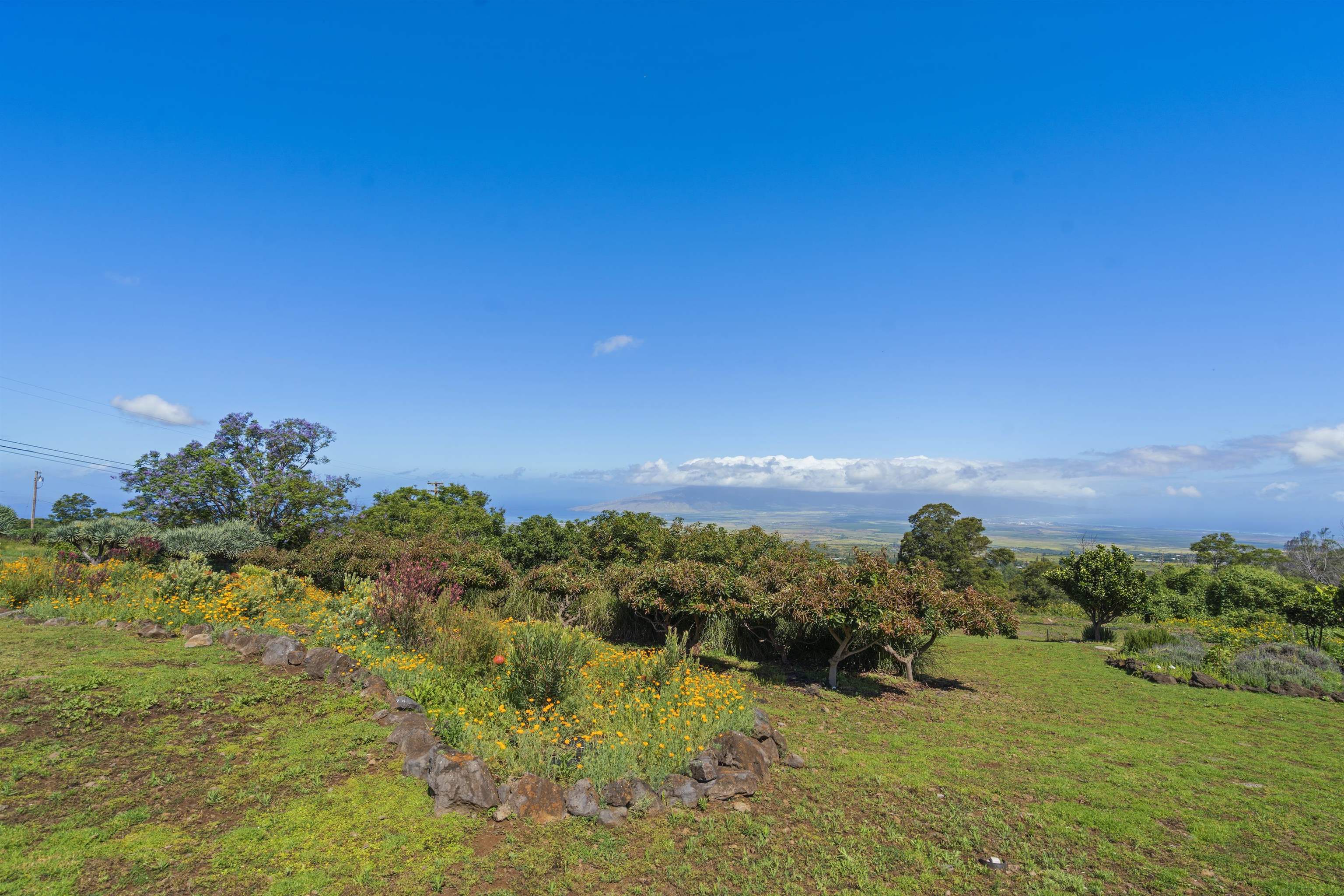 505 Kamehameiki Rd