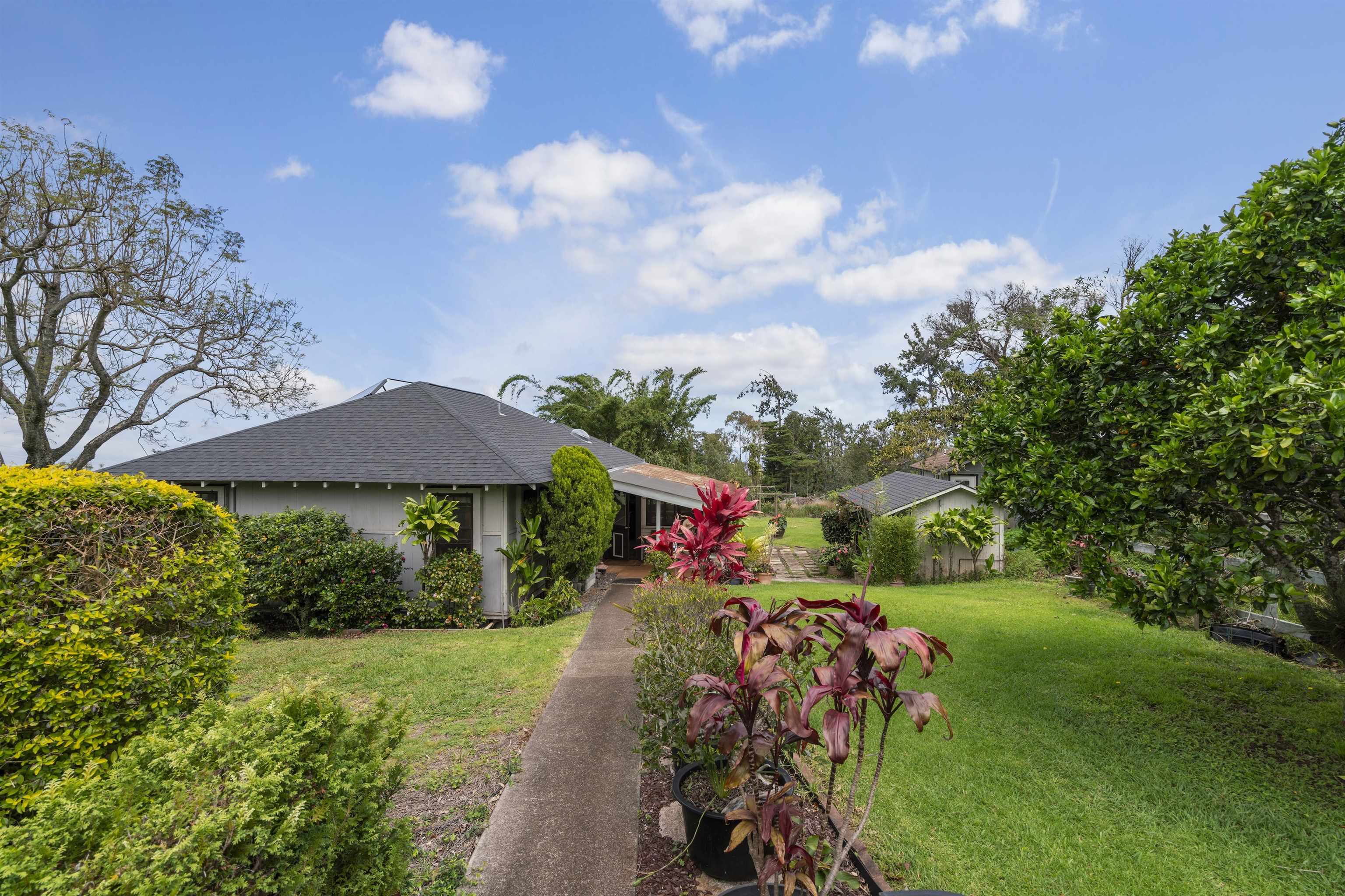 1423 Olinda Rd