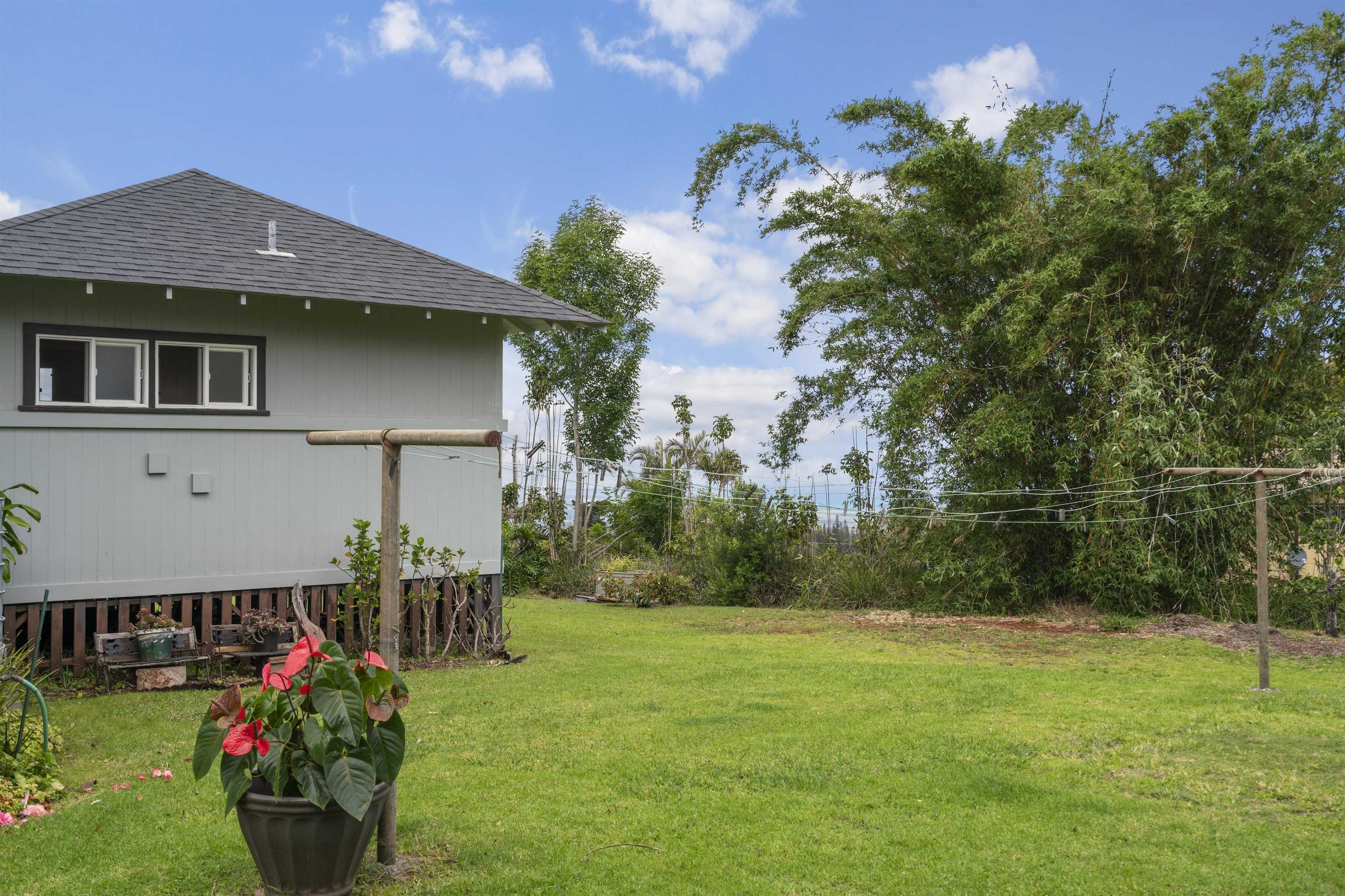1423 Olinda Rd