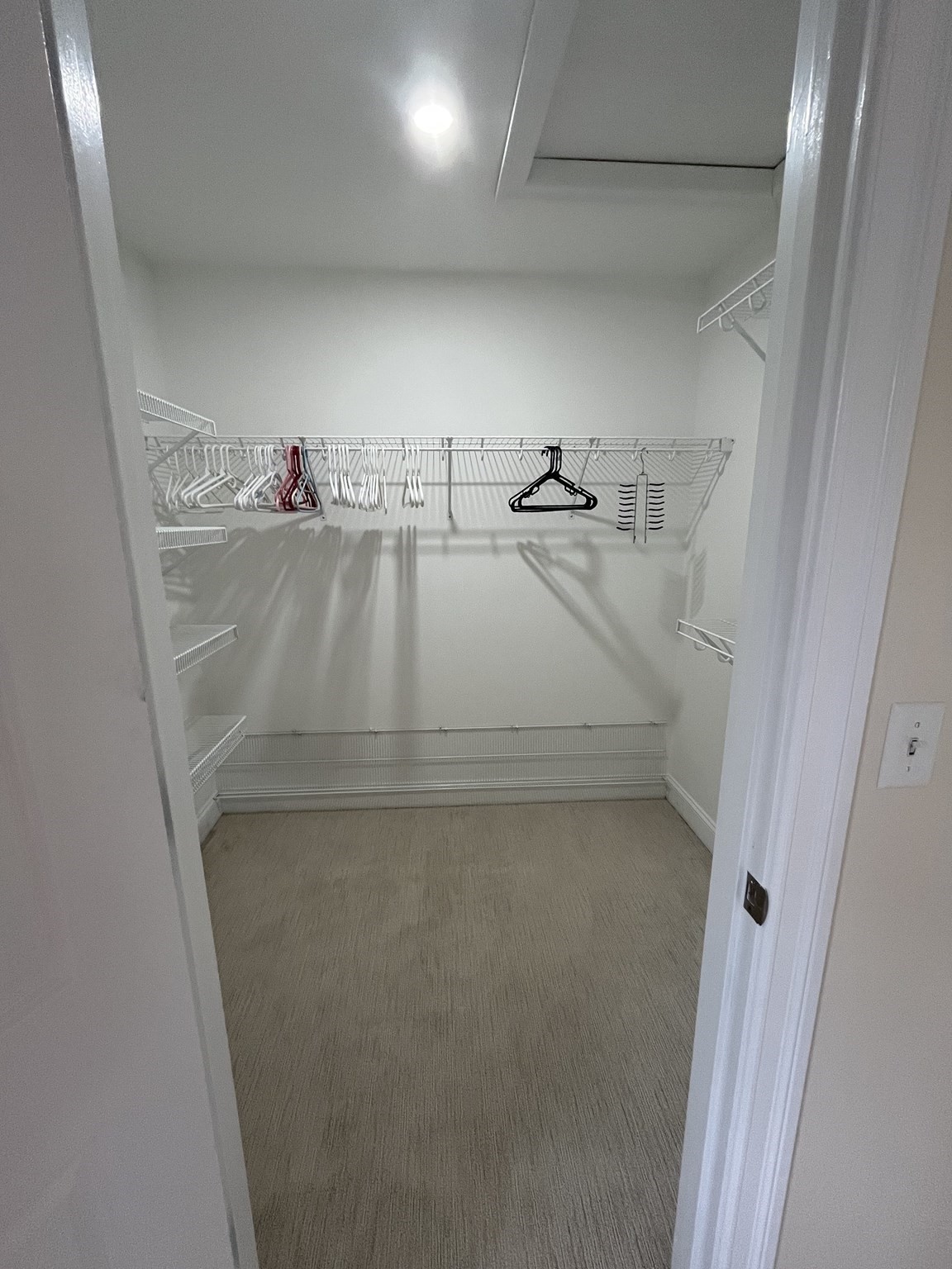 Walk-in closet with wire shelving on three walls and carpeted flooring.