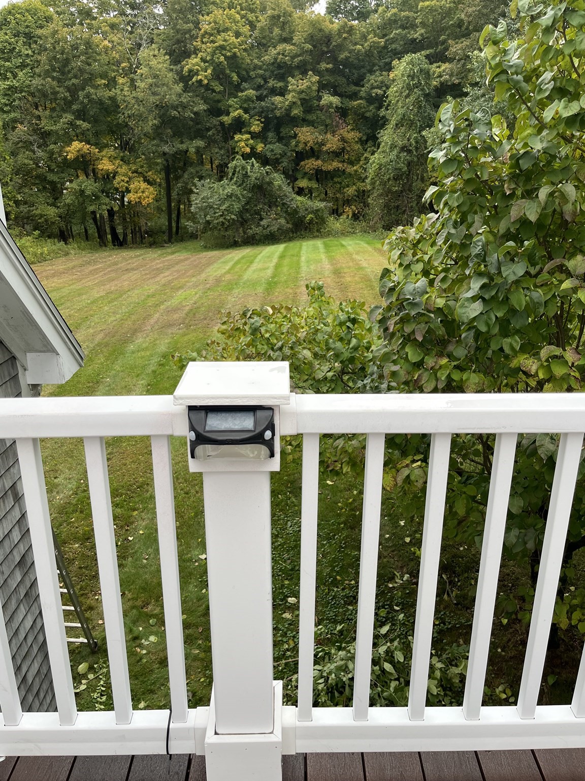 Deck overlooks a broad striped lawn bordered by dense trees and shrubs.