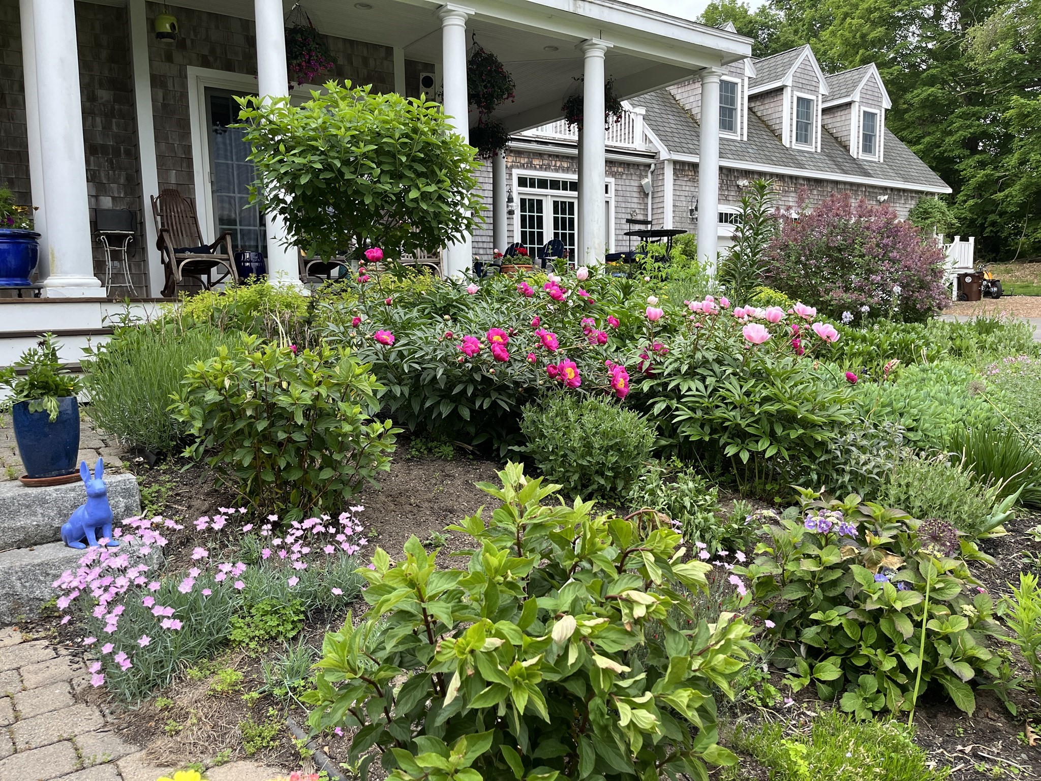 Shingled home with a columned porch behind colorful, densely planted flower beds.