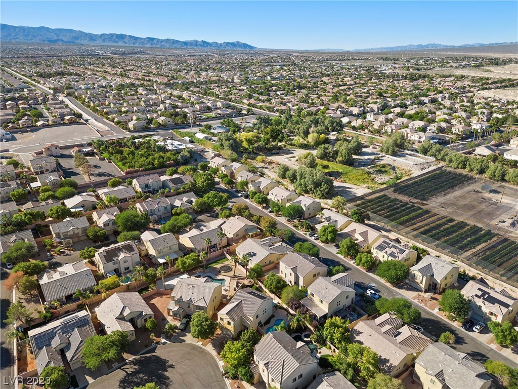 8128 Walnut Roast Way