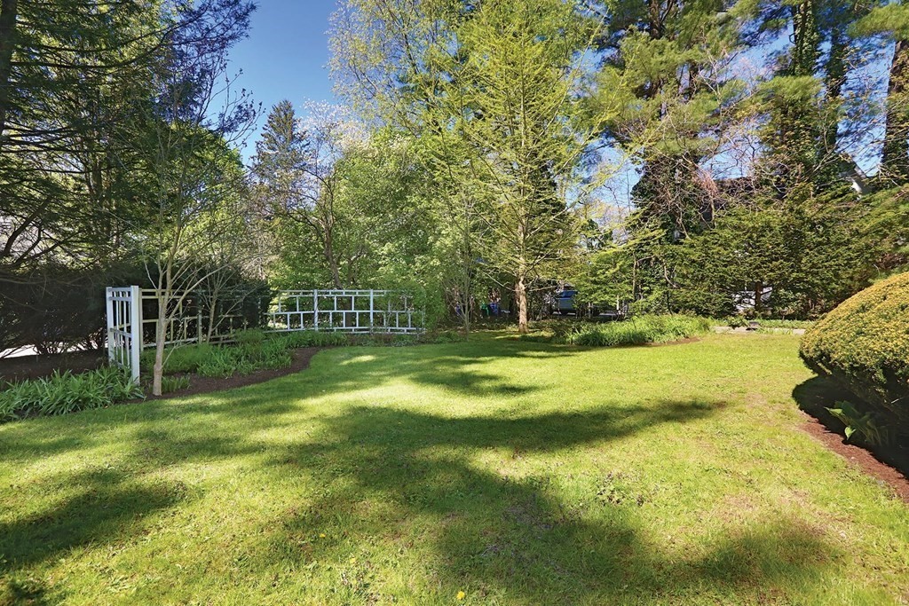 377 Waverley Ave