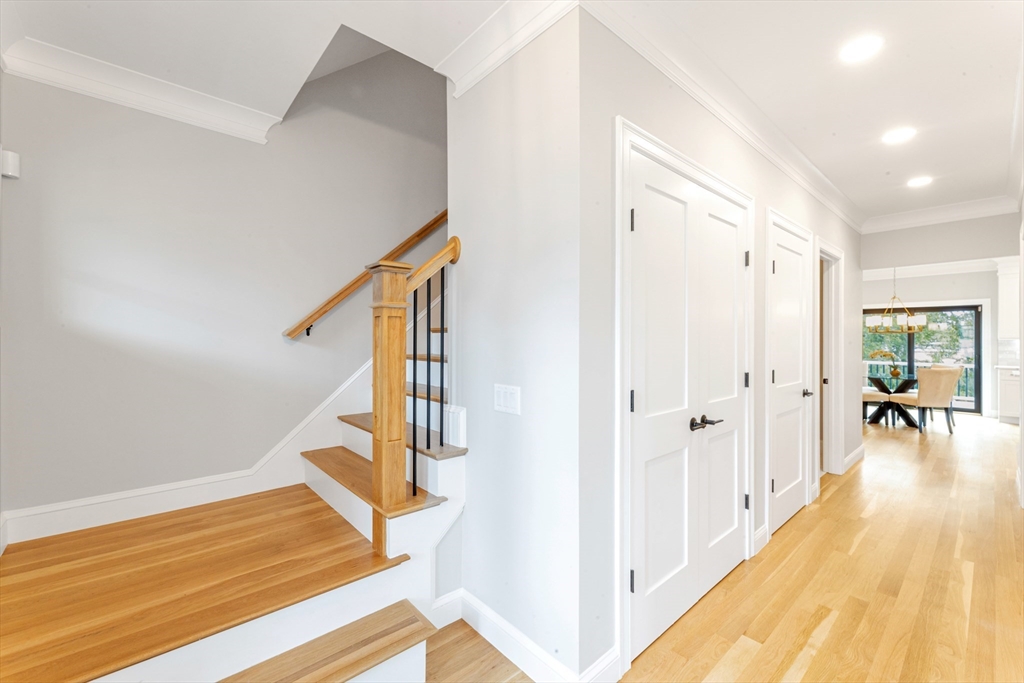 10 Starling St.
