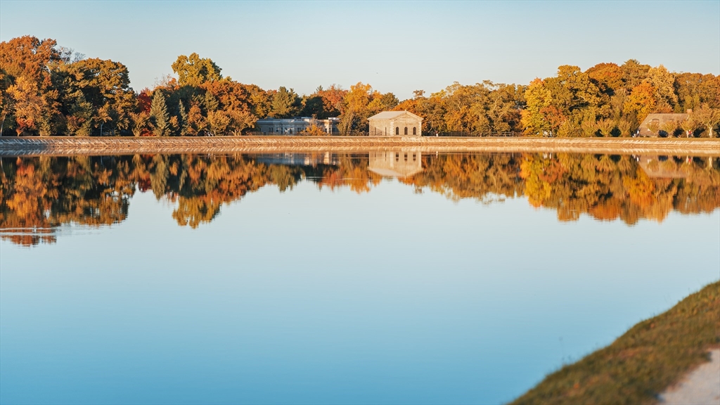487 Boylston St. # 3, Brookline Unit: 3