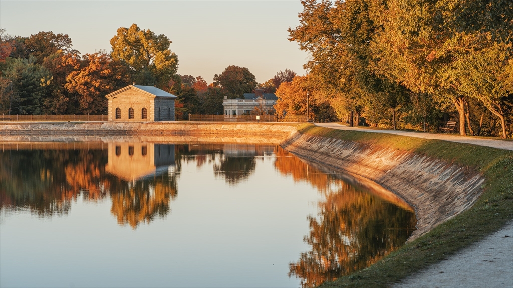 487 Boylston St. # 3, Brookline Unit: 3