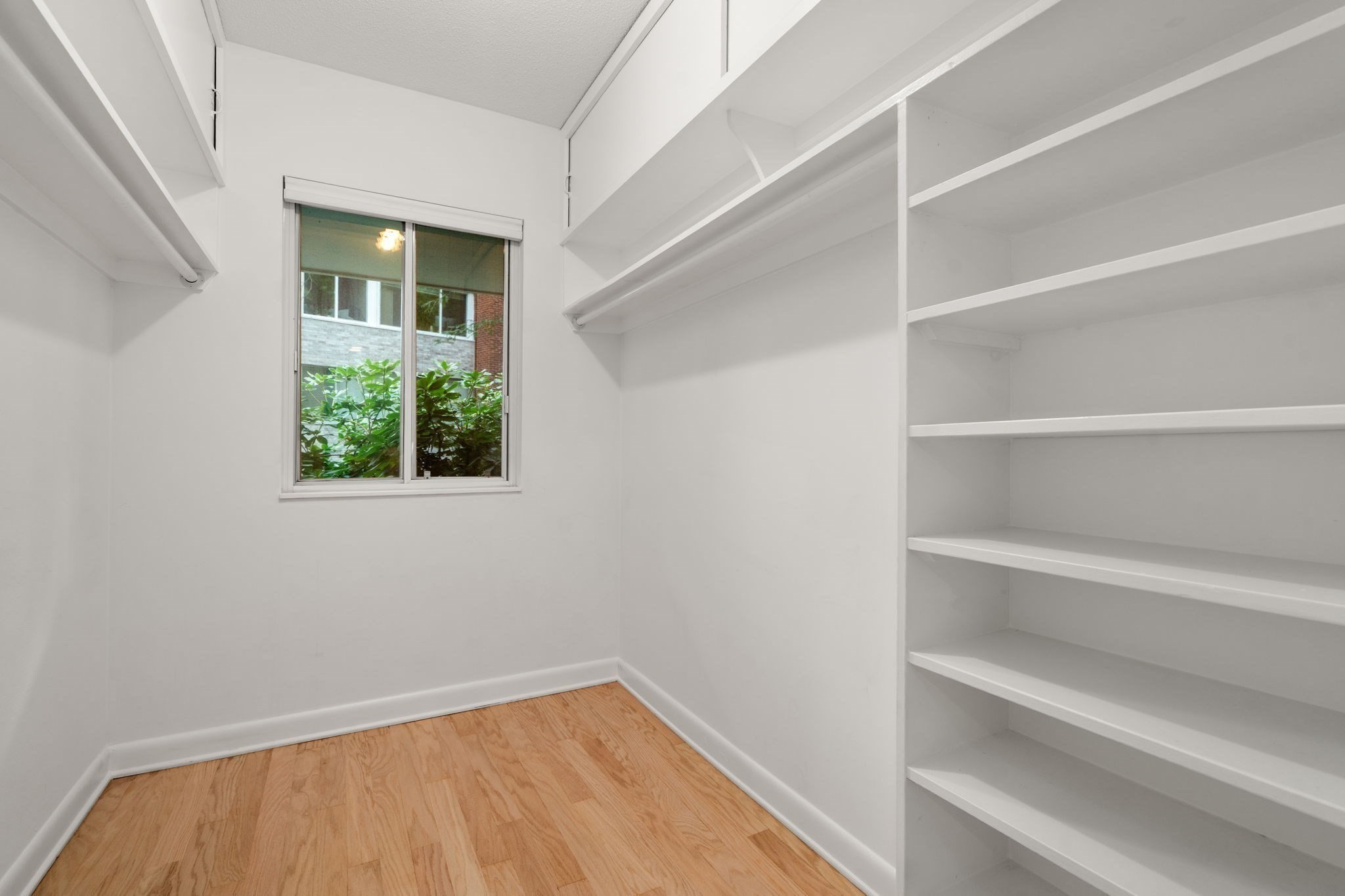 18 Chestnut Pl # 18