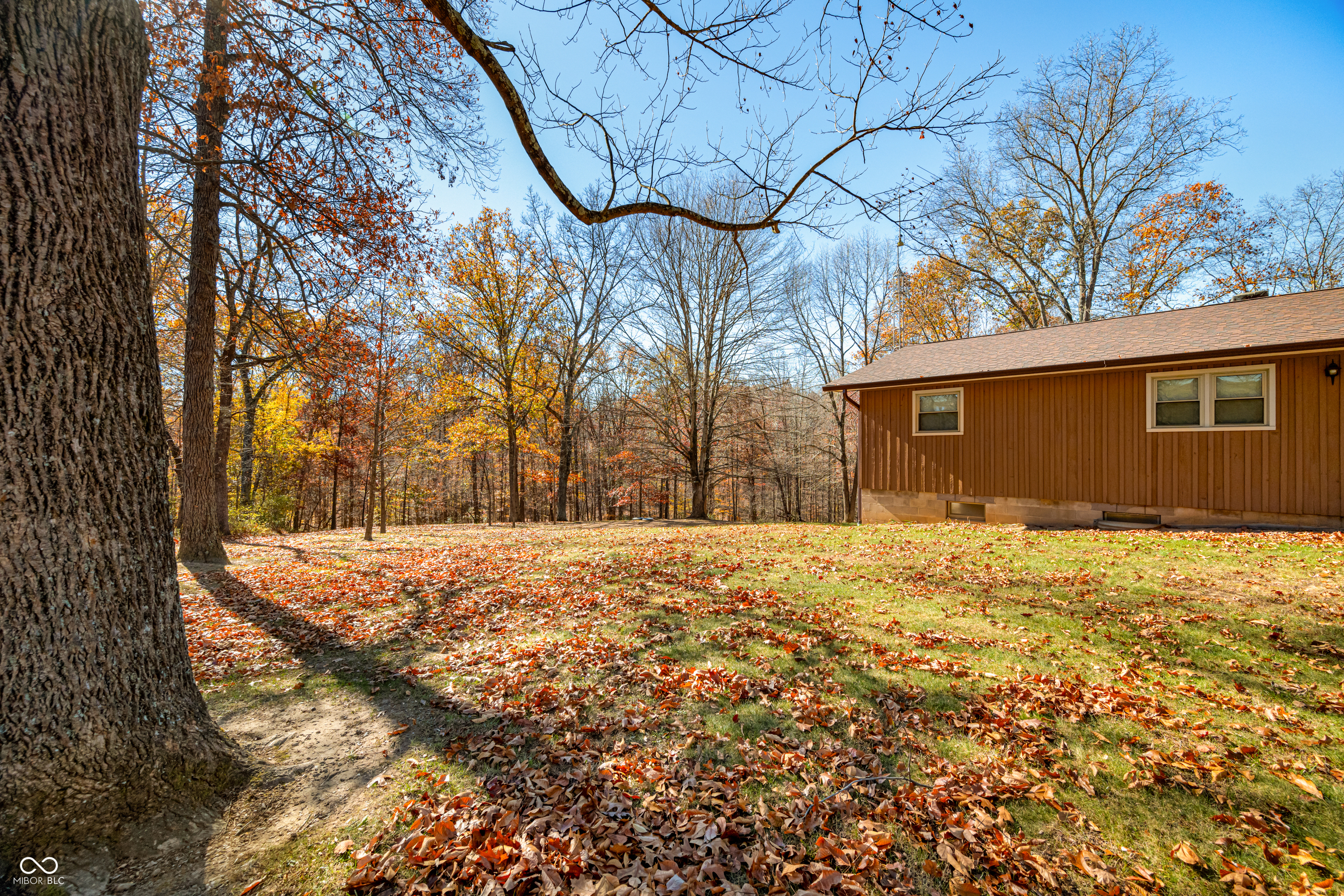 1818 Greasy Creek Road