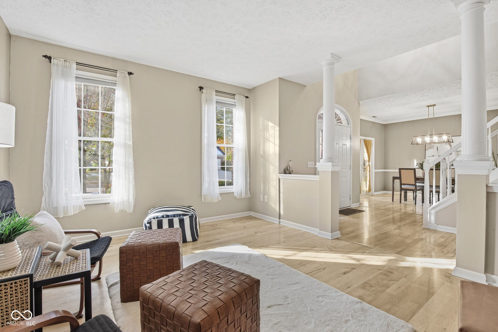 9026 Carnation Drive