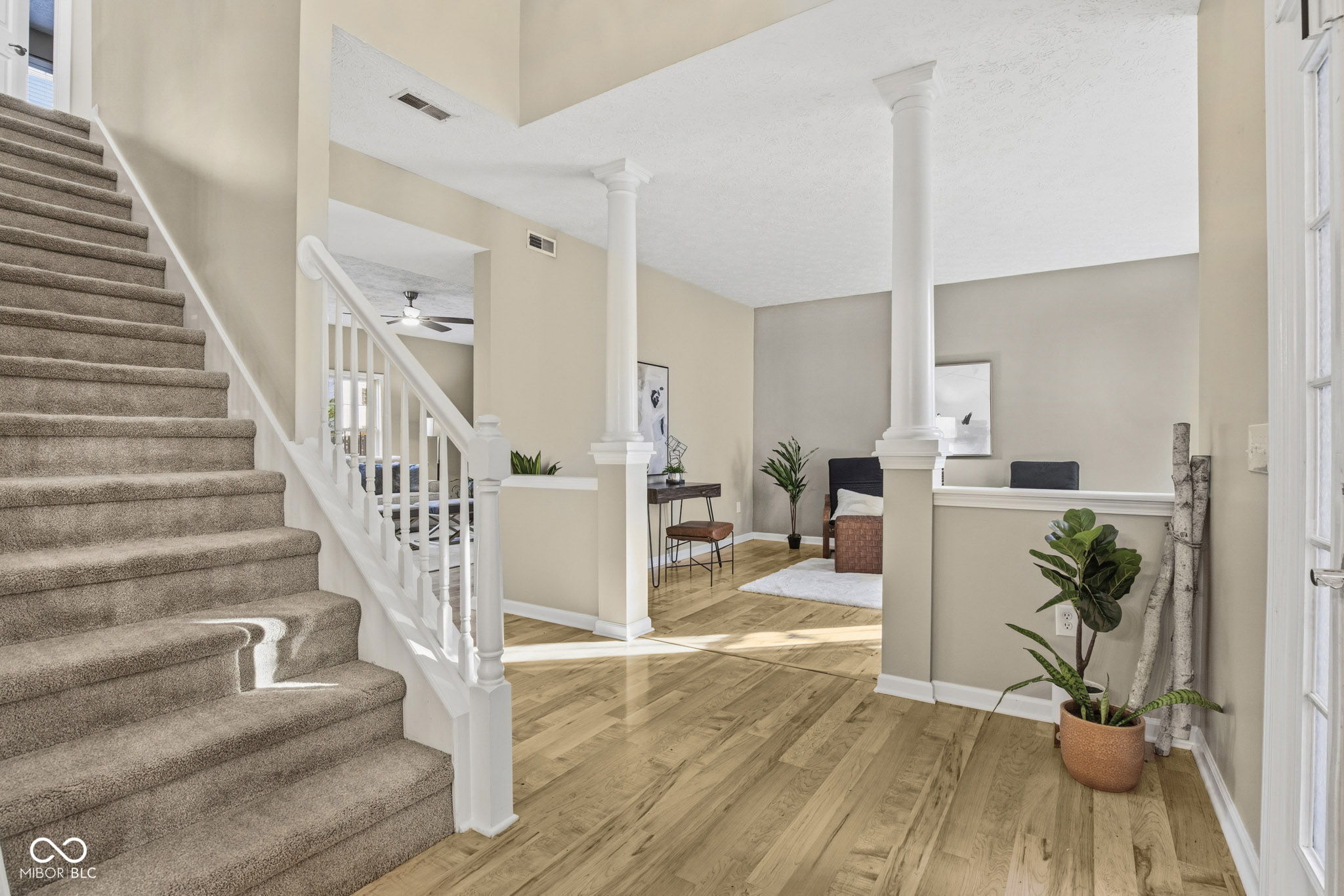 9026 Carnation Drive