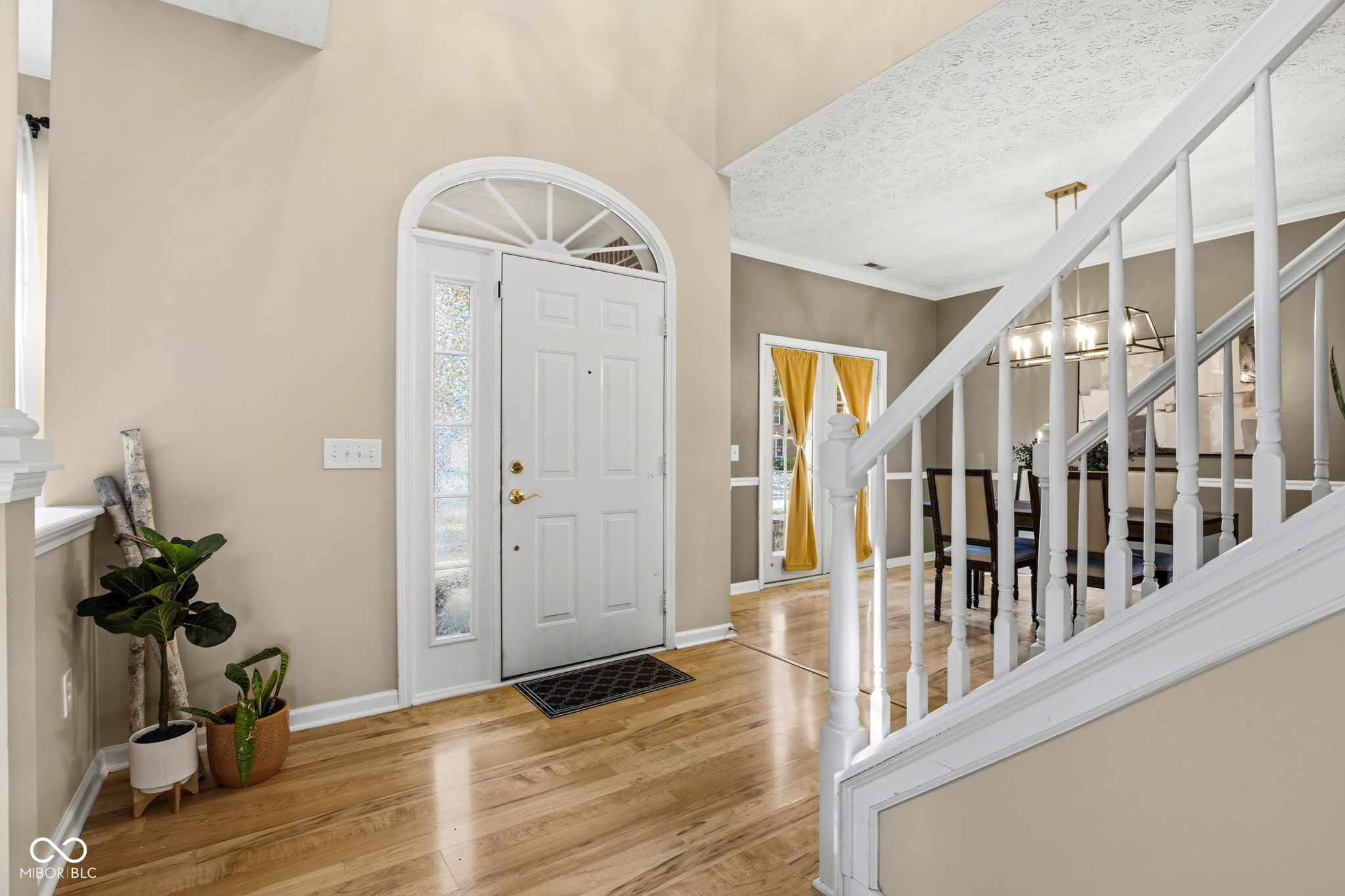 9026 Carnation Drive