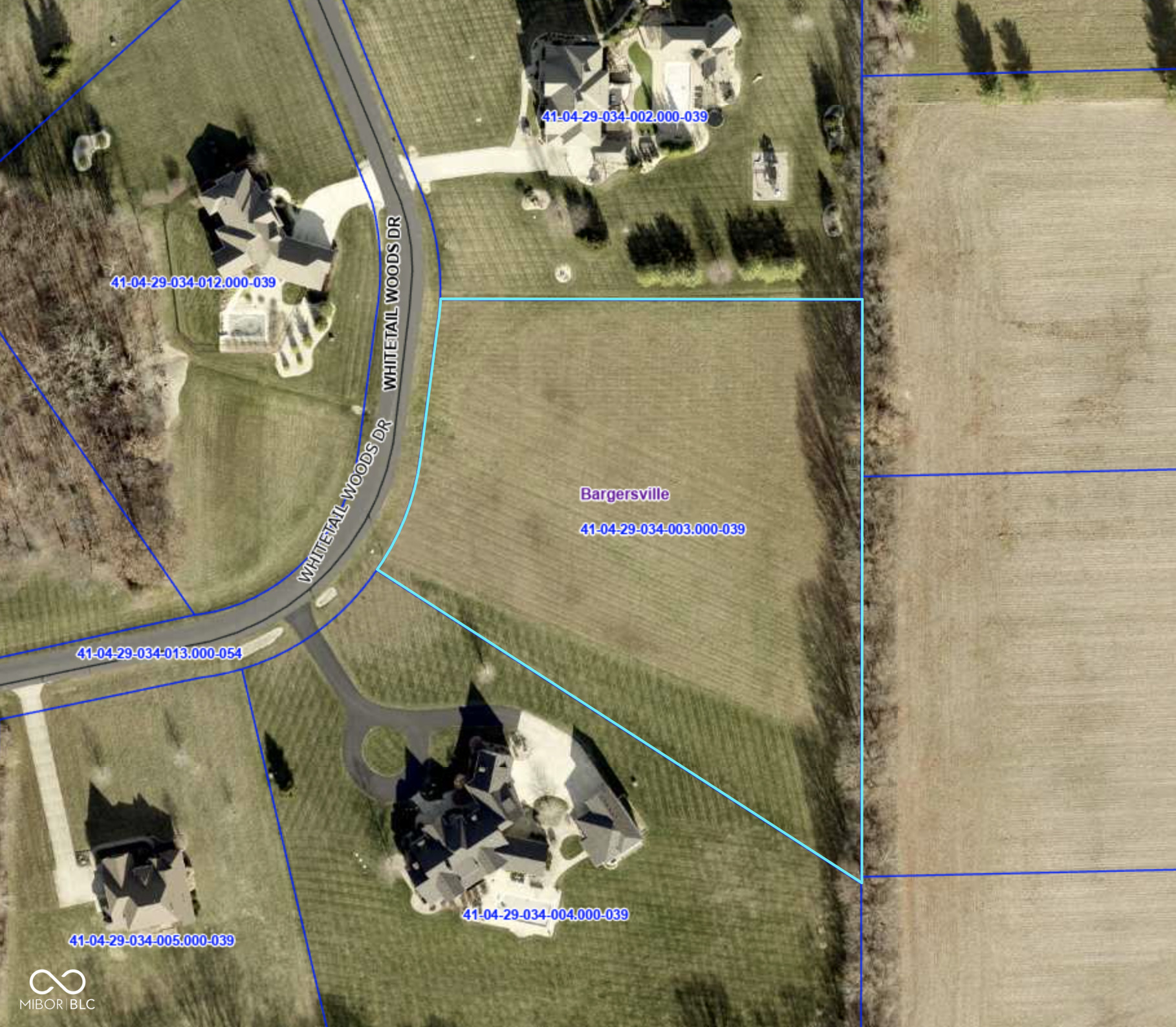 4199 Whitetail Woods Drive