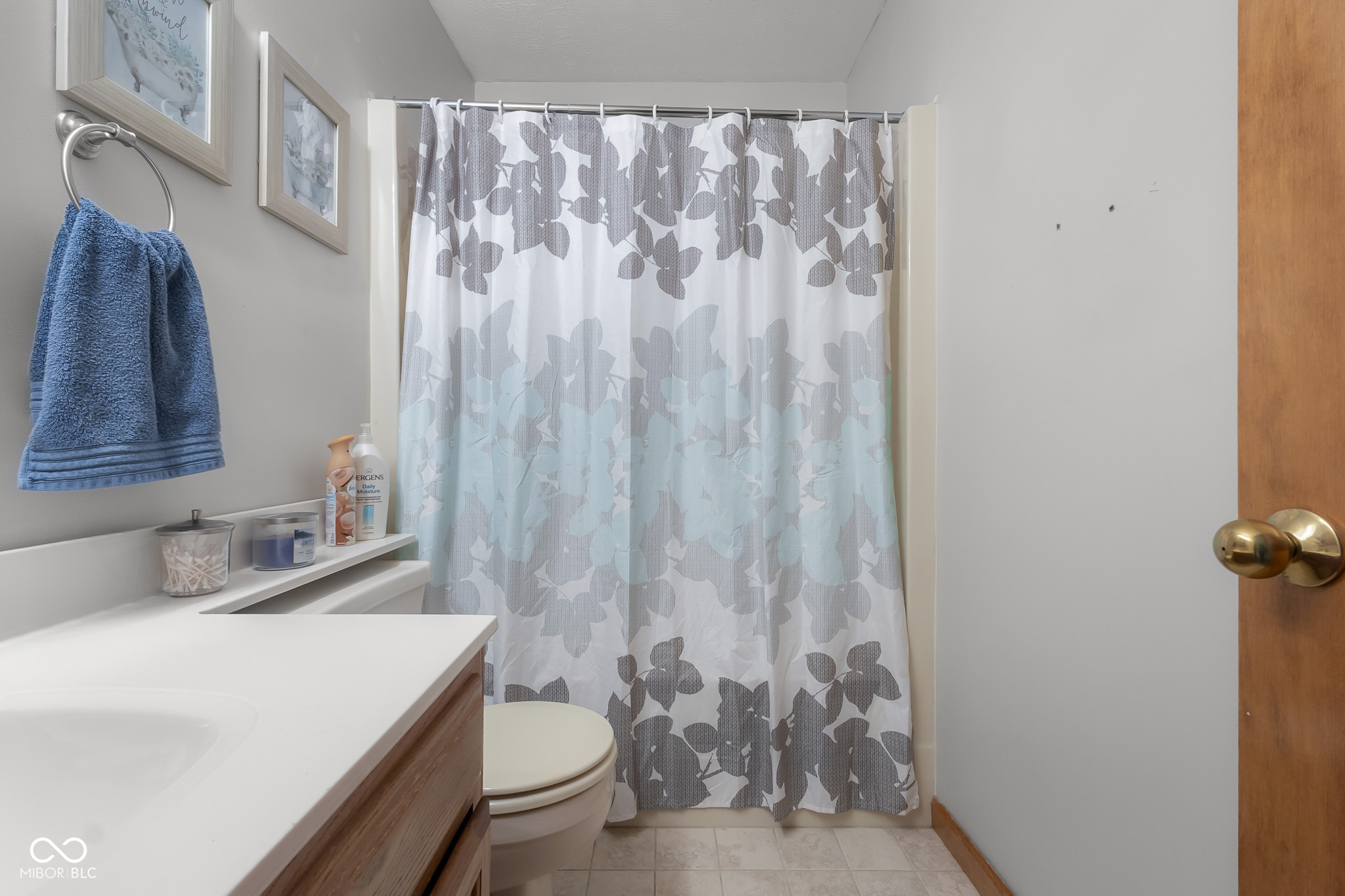 2917 Silver Fox Drive