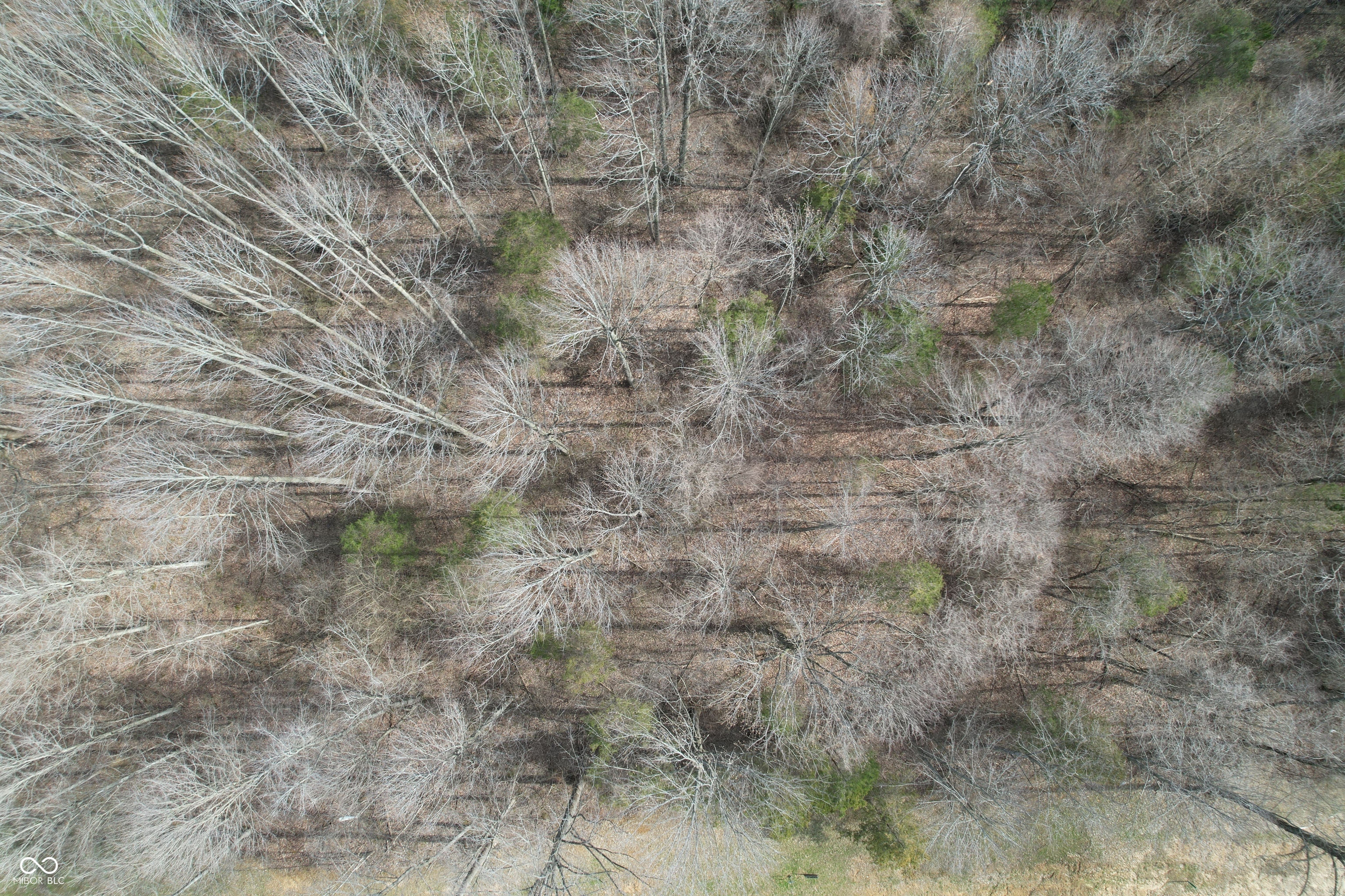 5399 Stonewood Court