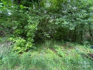 000 Bentbrook Drive