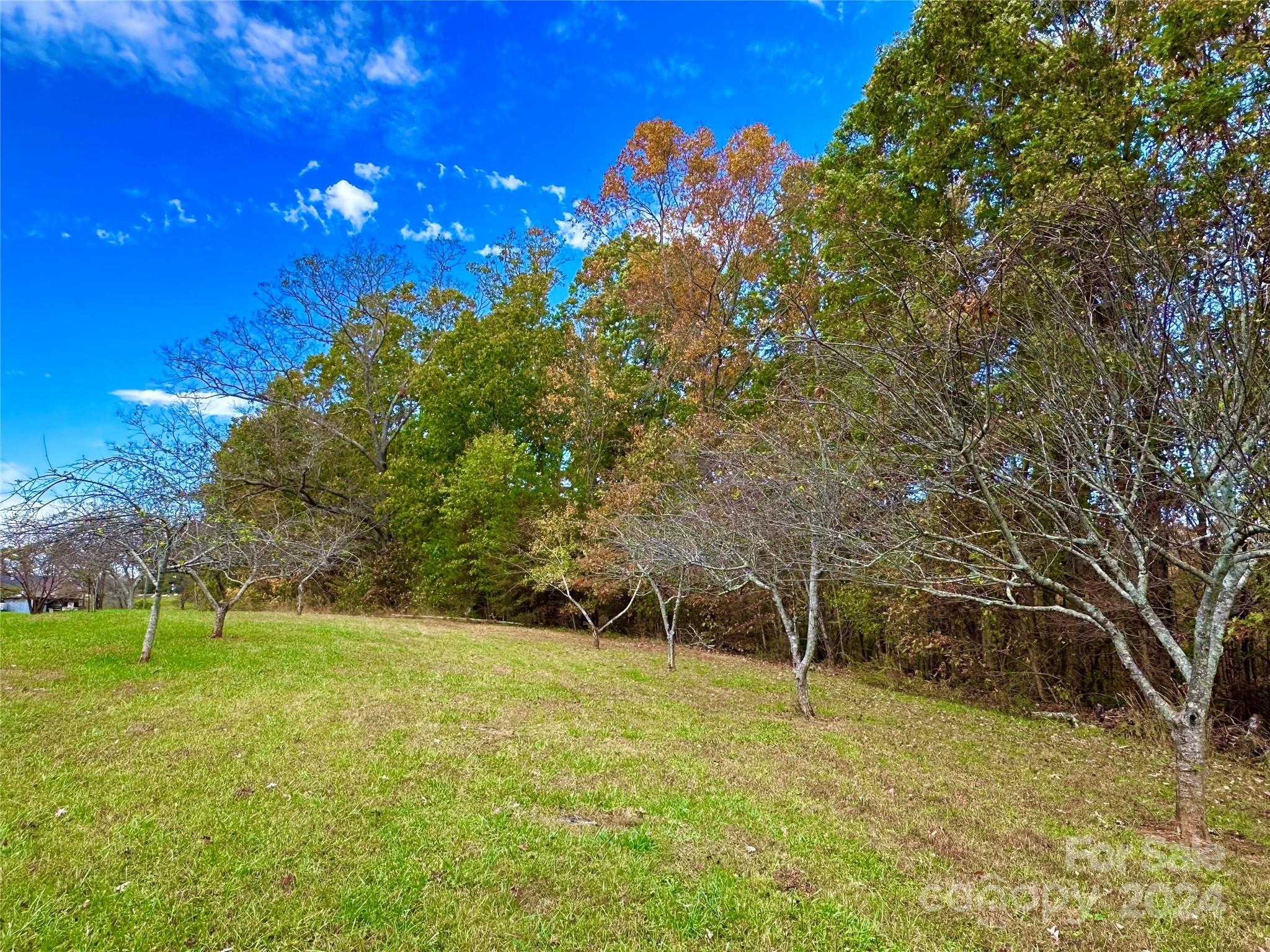 8031 George Hildebran School Road