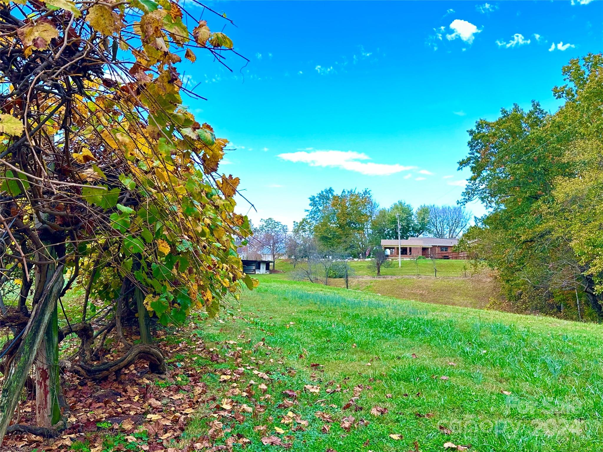 8031 George Hildebran School Road
