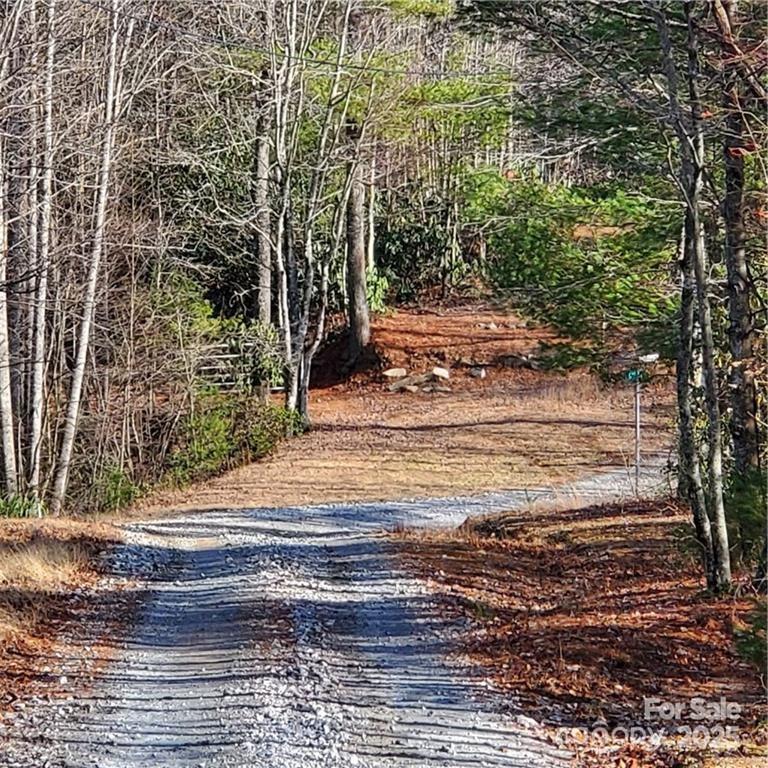 7902 Cat Trail
