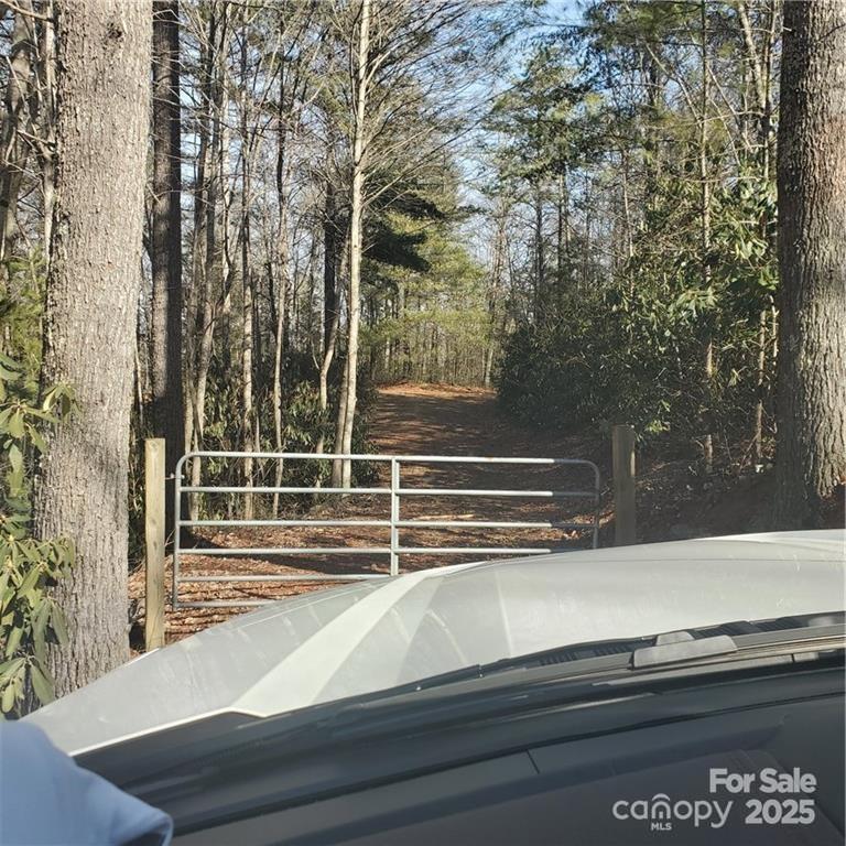 7902 Cat Trail