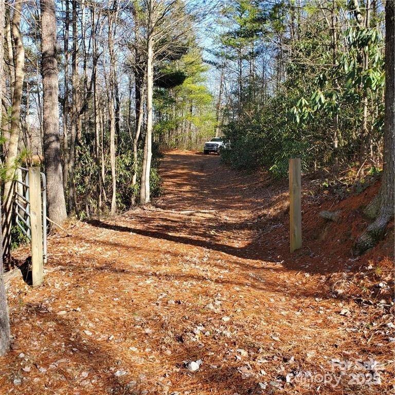 7902 Cat Trail