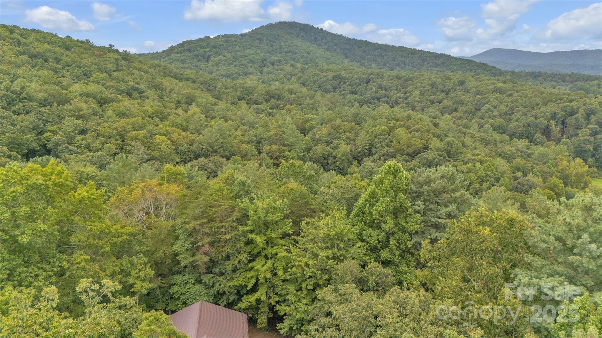 386 Natures Walk Lane