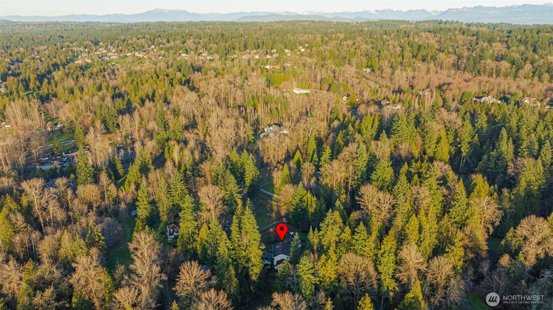 12925 206th Avenue NE