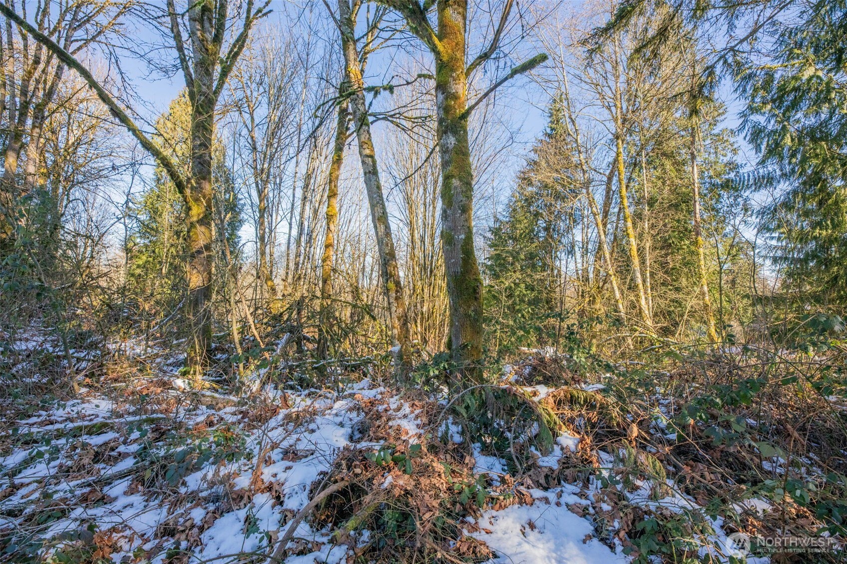 218 XX E Lost Lake Road