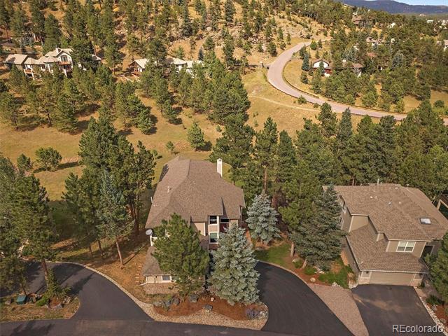Aerial view of wooded Colorado homes along a winding road, with a mountain ridge in the background.