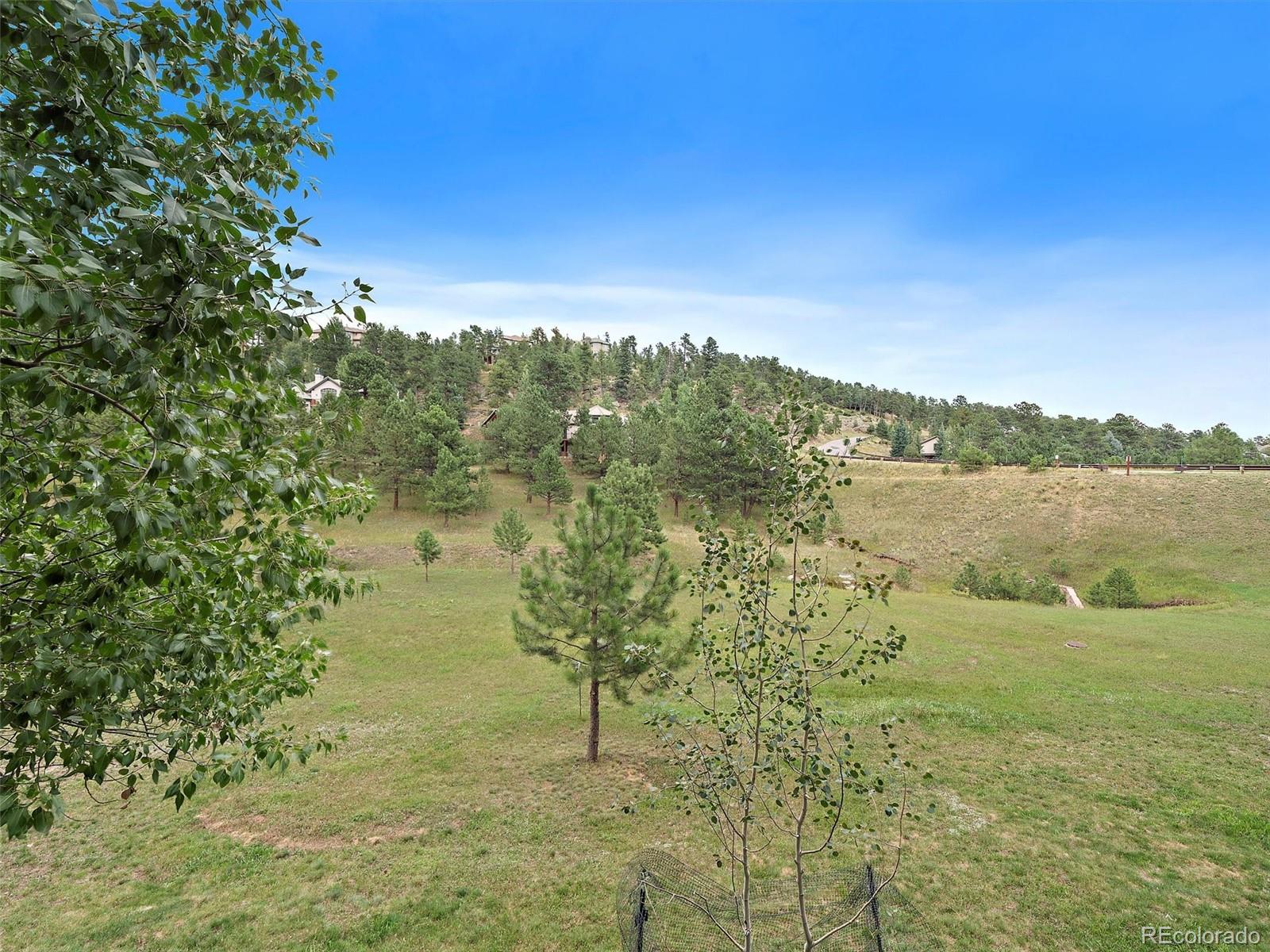 31465 Forestland Drive