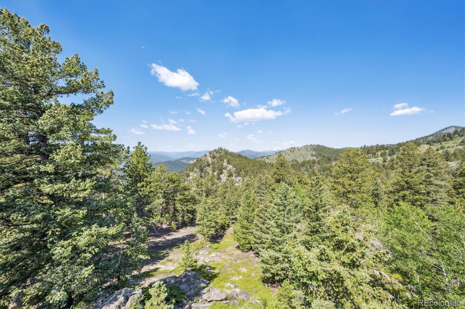 3945 Douglas Mountain Drive