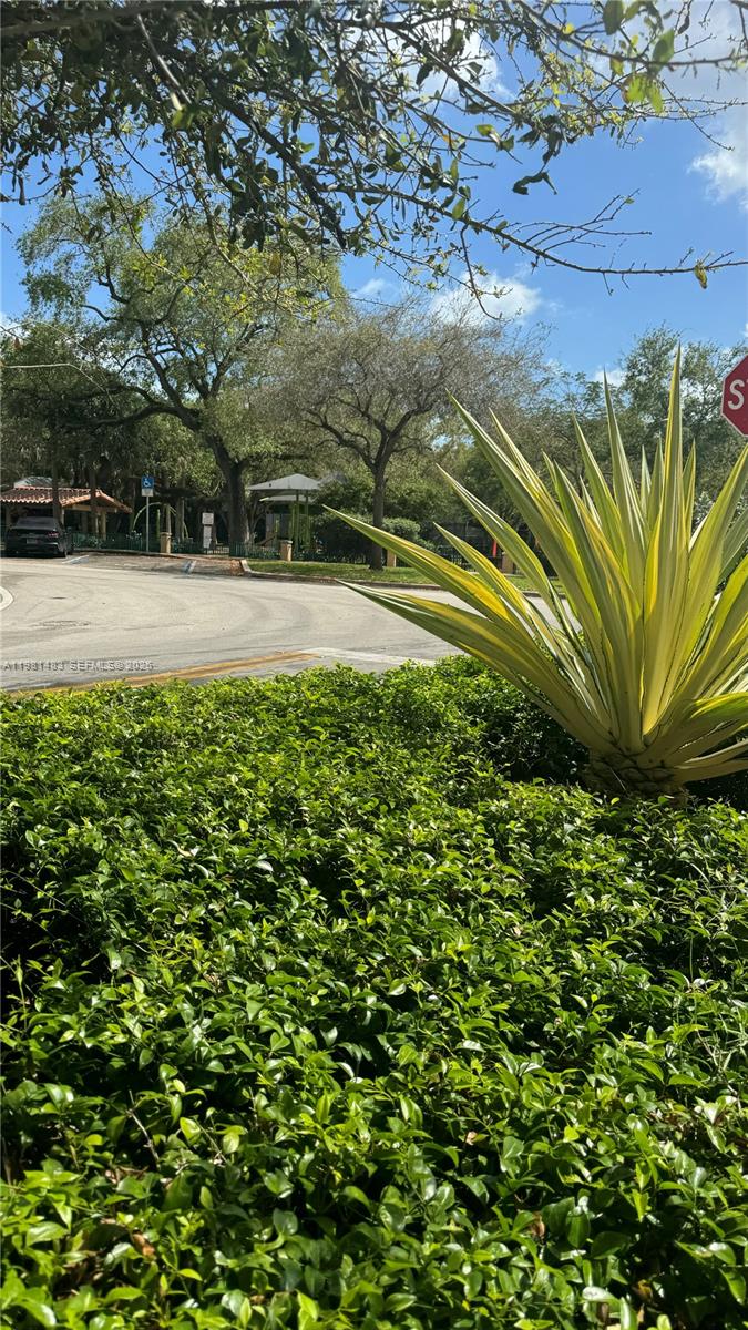 1205 Mariposa Ave # 326