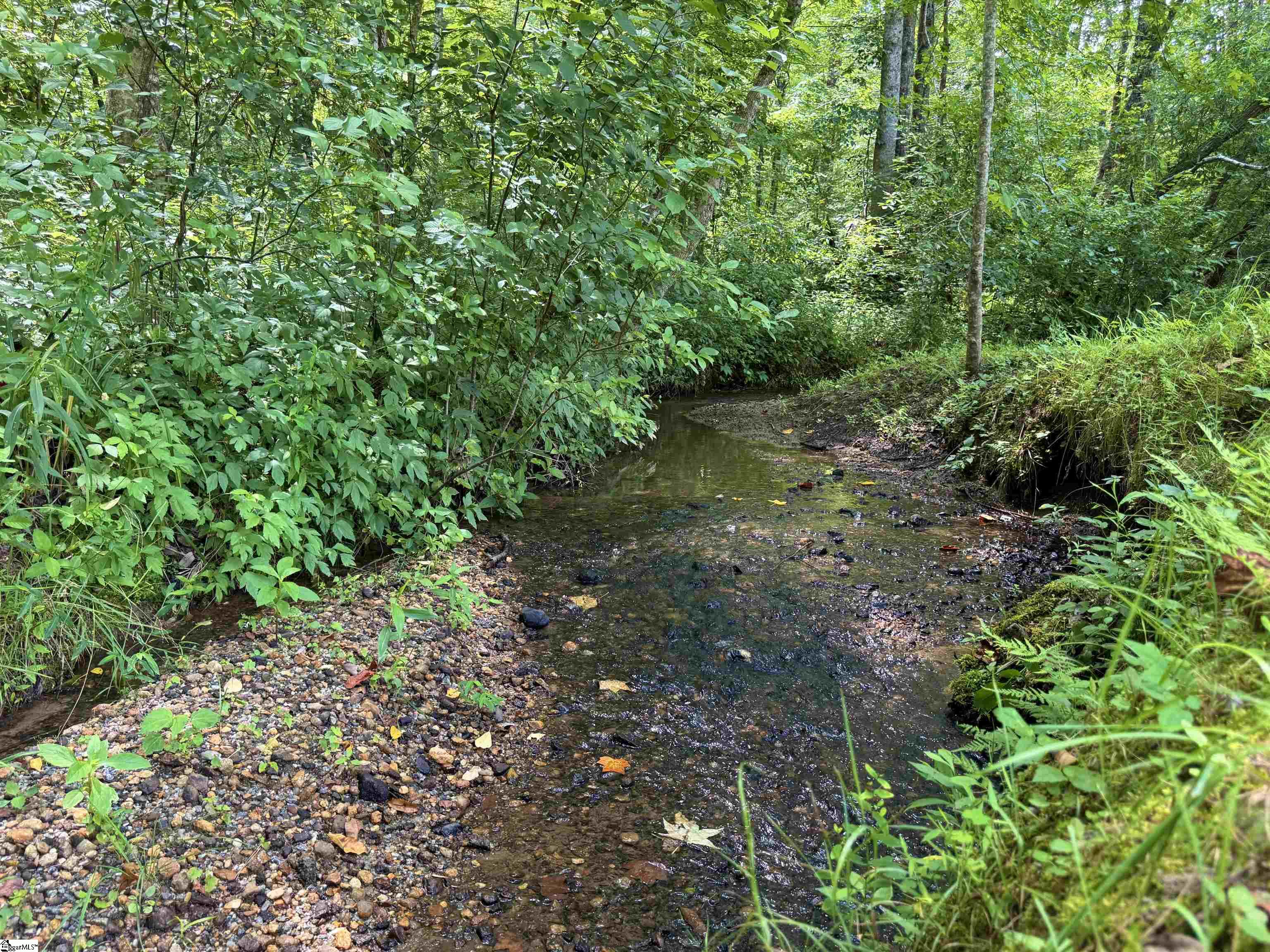 159 Country Creek Drive