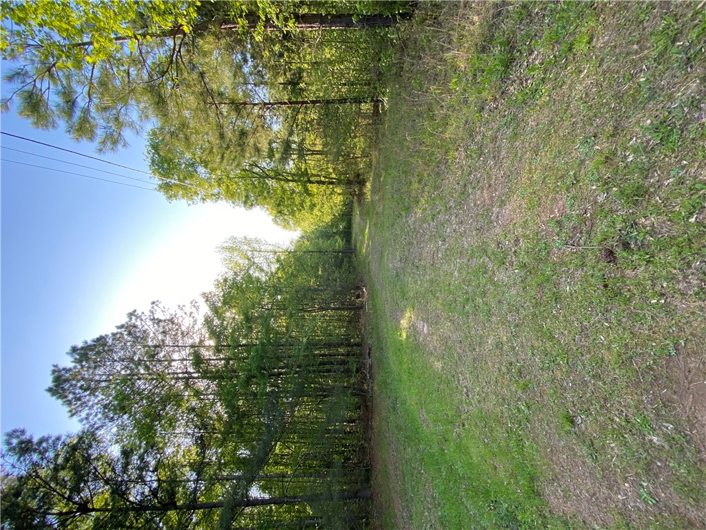 884 Martin Road
