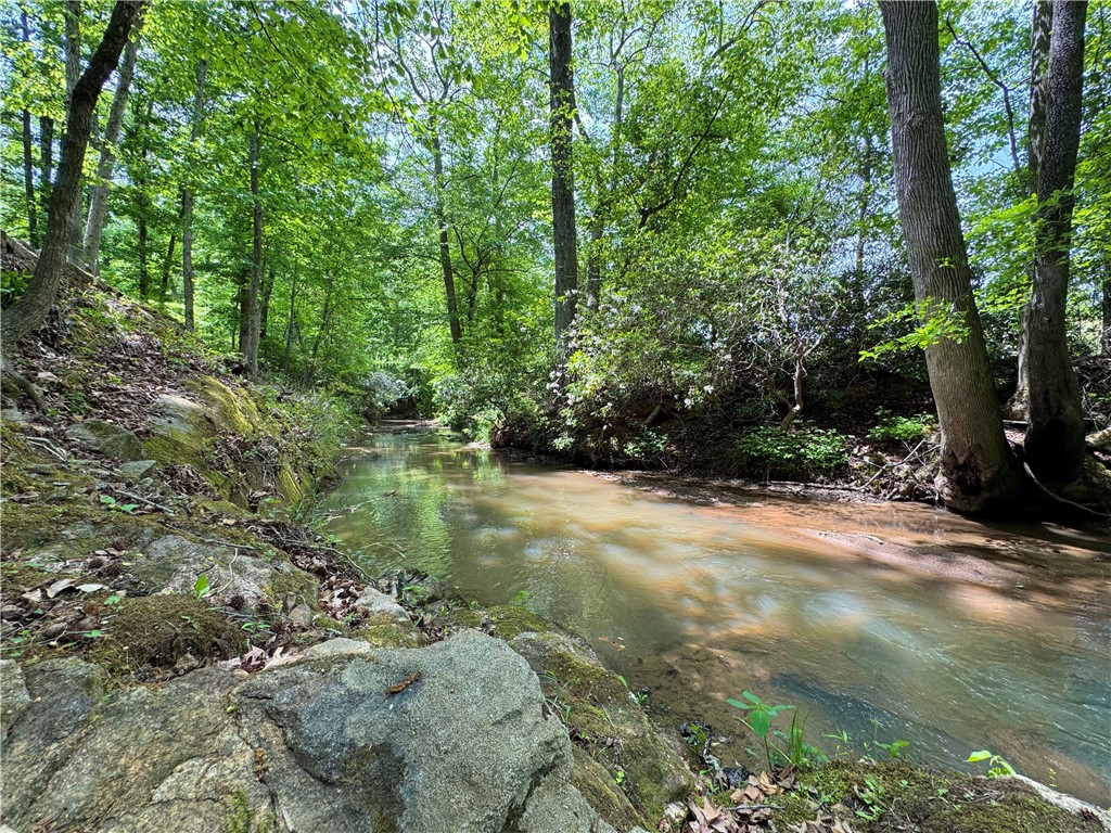 164 Creekside Drive