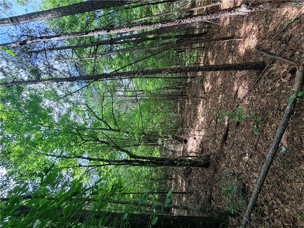 208 Sparks Lane