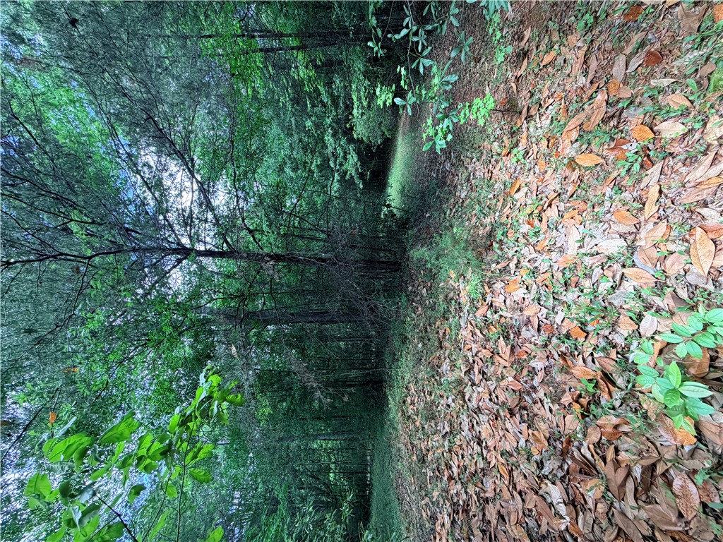 208 Sparks Lane