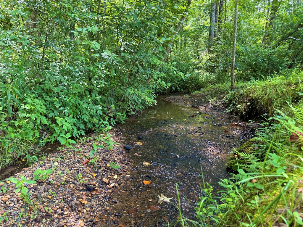 159 Country Creek Drive