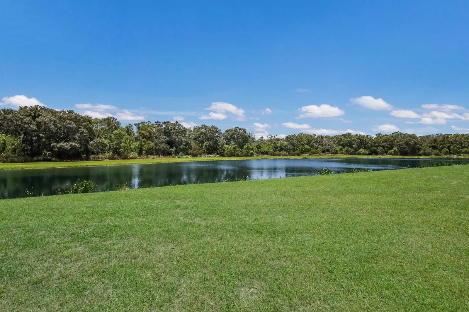 2606 STARWOOD CT