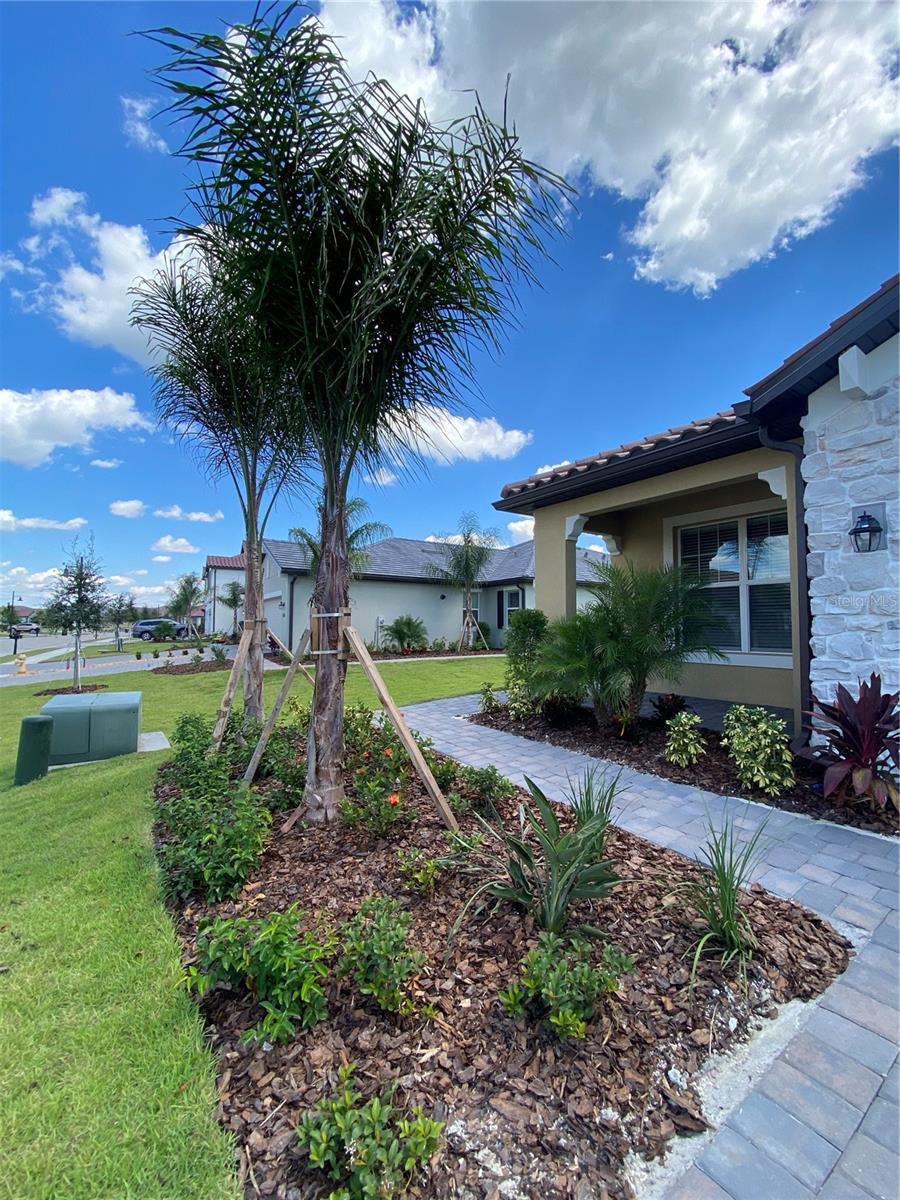 2611 AVOLET CT