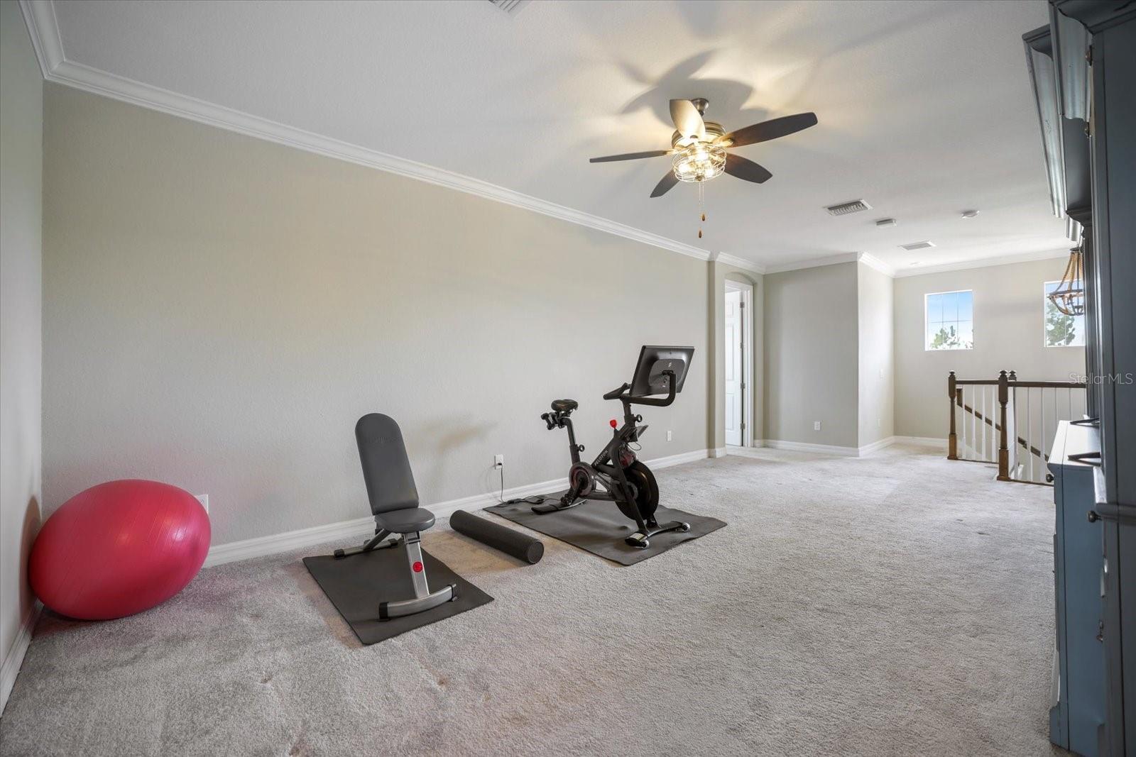 12120 GANNETT PL