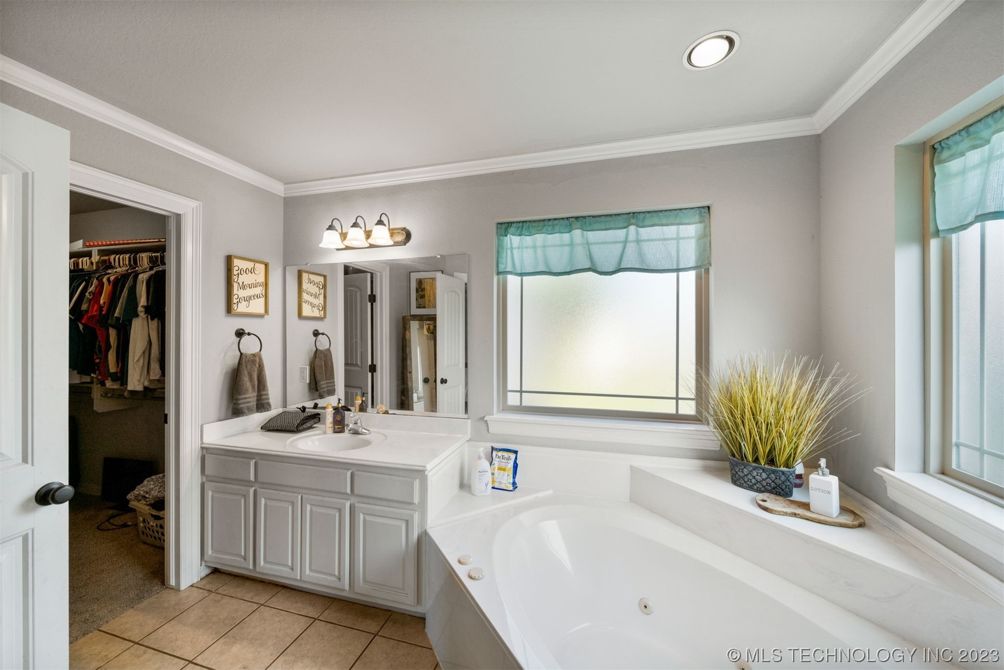 25232 Willow Tree Court