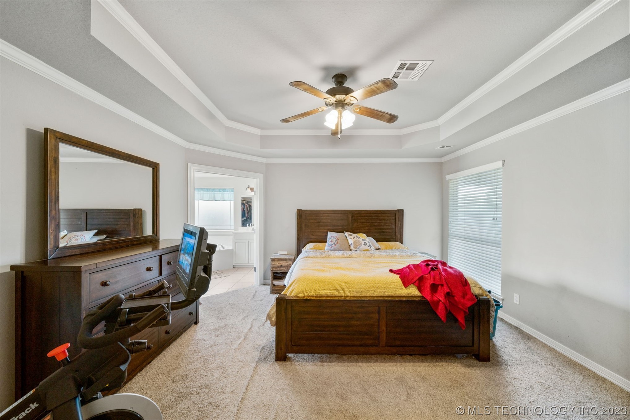 25232 Willow Tree Court